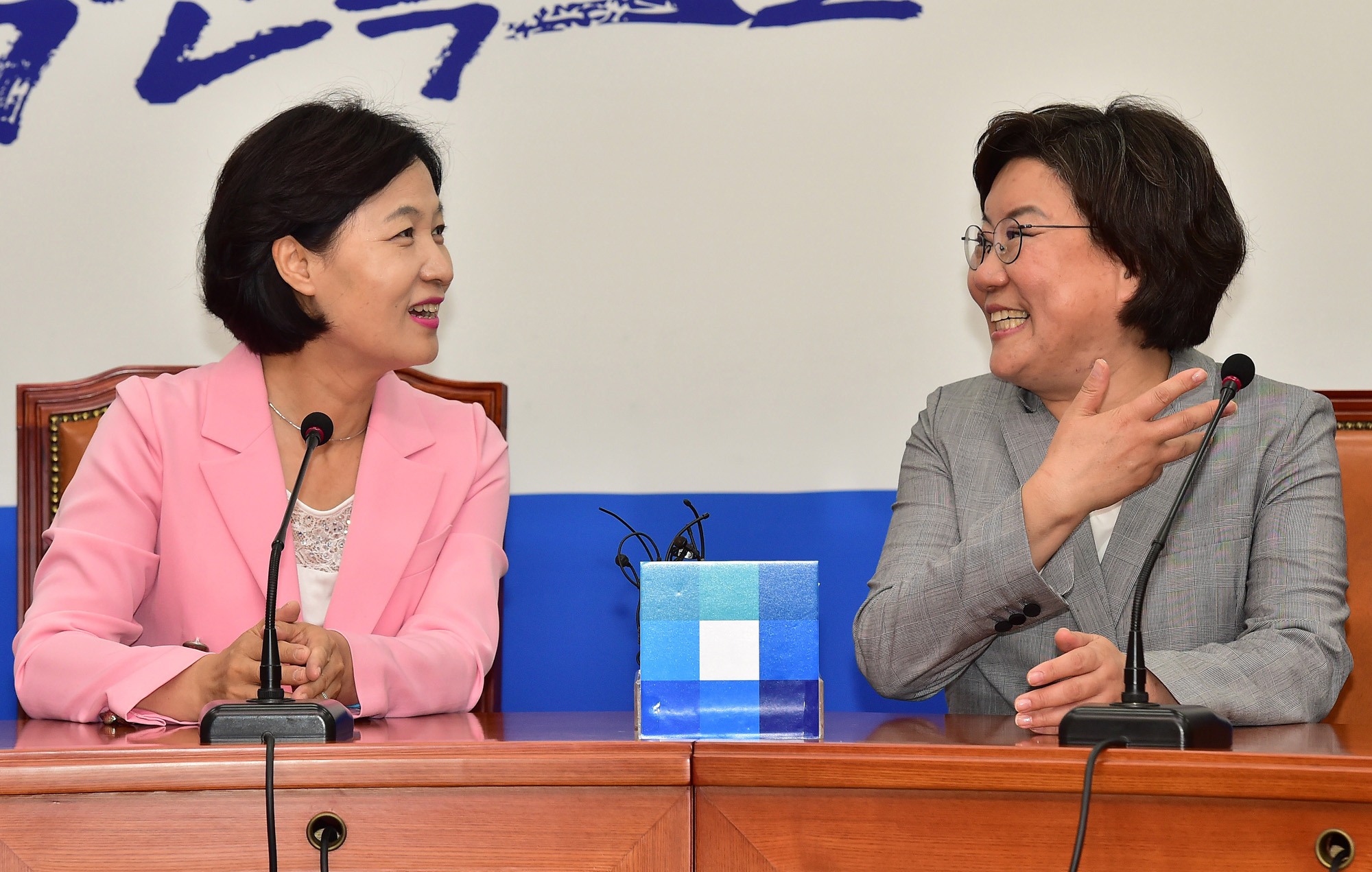 정치;국회;이혜훈;추미애