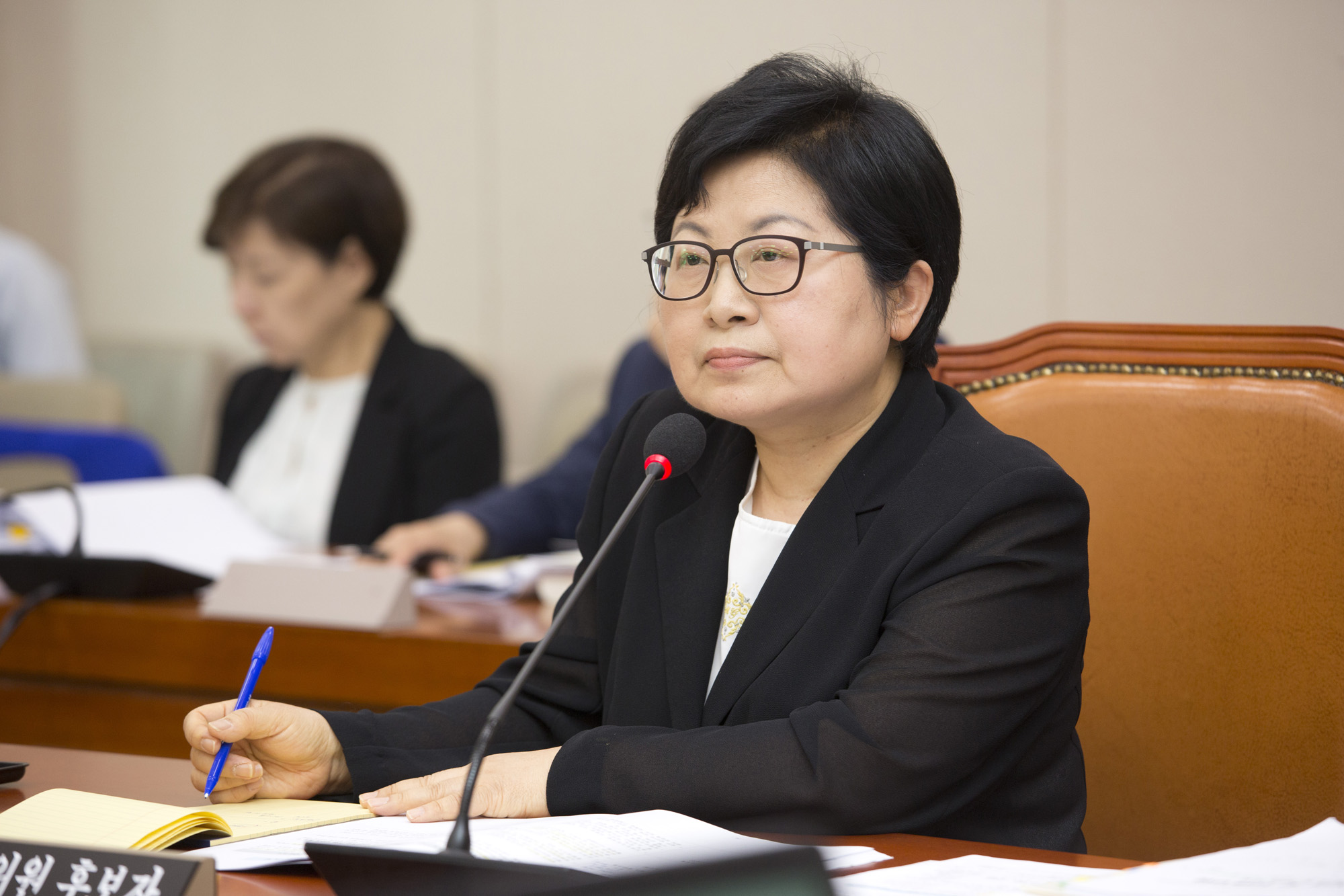 정치;국회;미방위;인사청문회;정현백