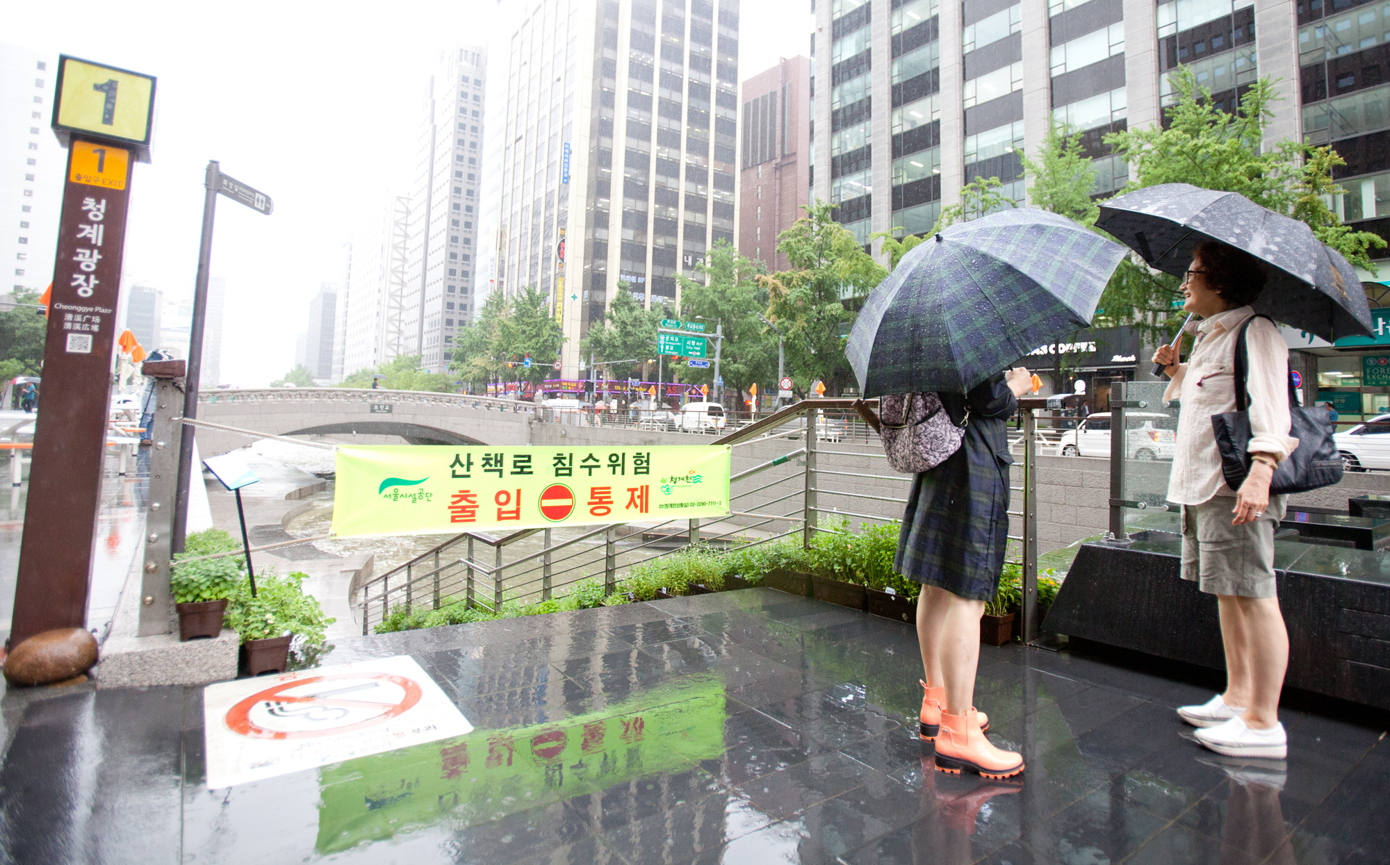 장마;청계천;광화문;비;여름비;청계천출입통제