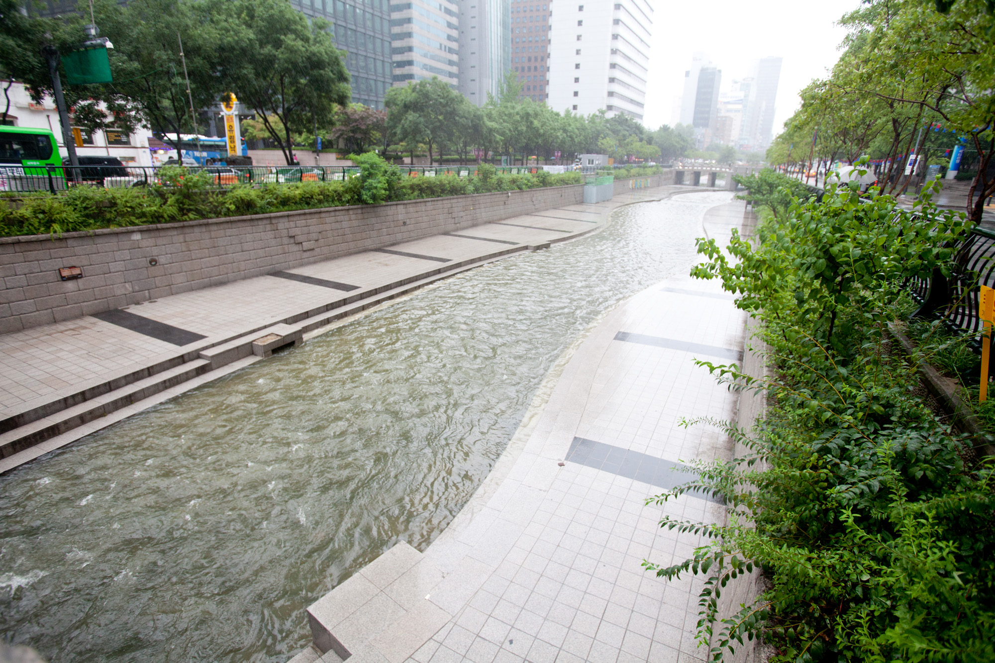 장마;청계천;광화문;비;여름비;청계천출입통제