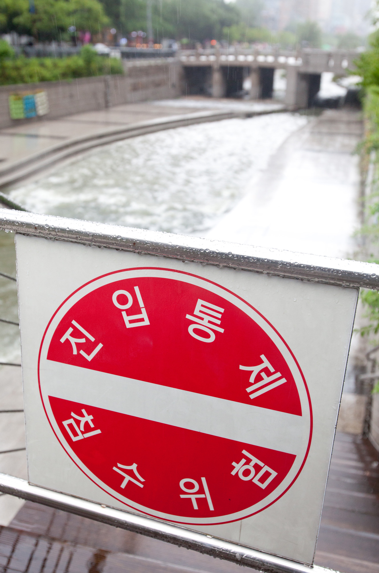 장마;청계천;광화문;비;여름비;청계천출입통제