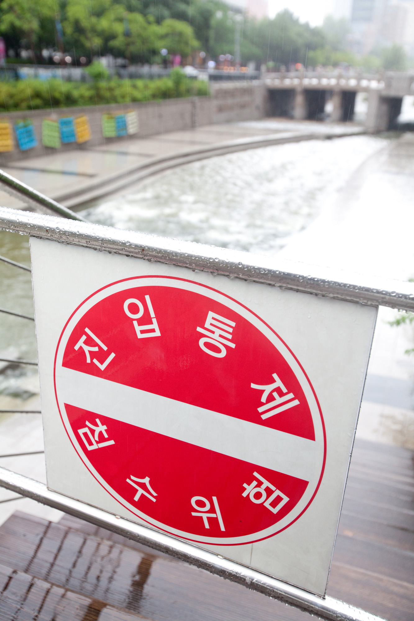 장마;청계천;광화문;비;여름비;청계천출입통제