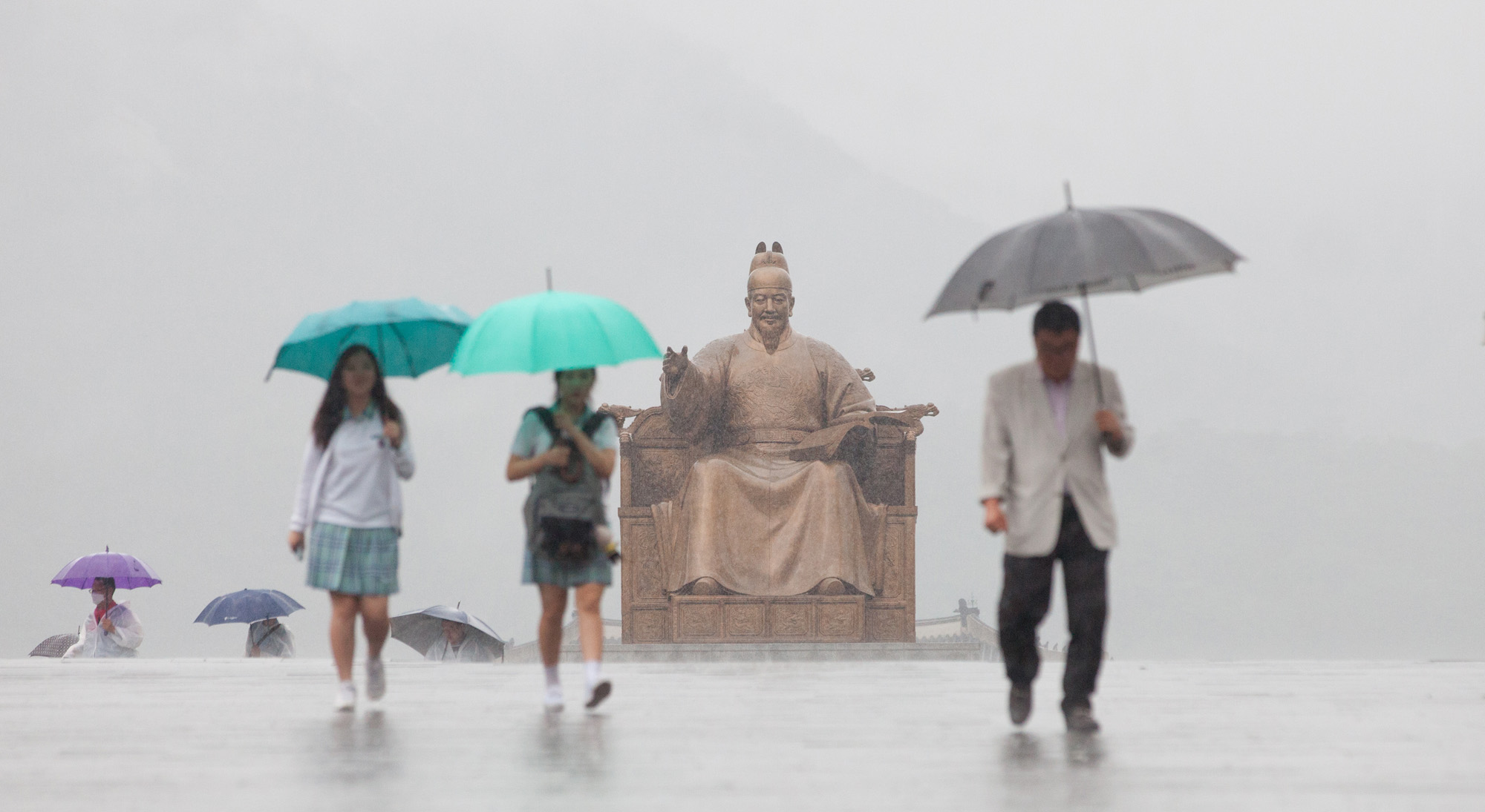 장마;청계천;광화문;비;여름비;청계천출입통제