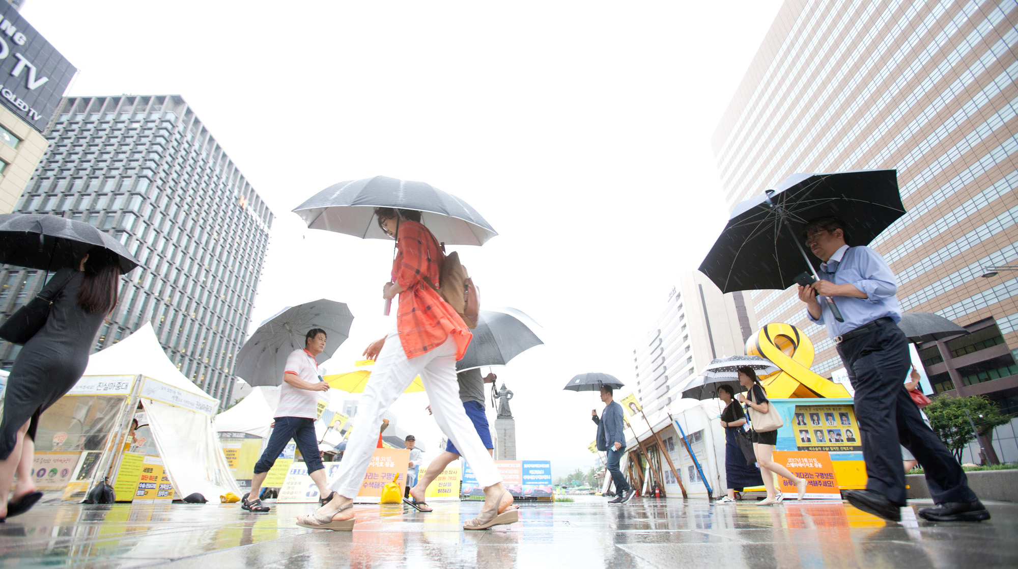 장마;청계천;광화문;비;여름비;청계천출입통제