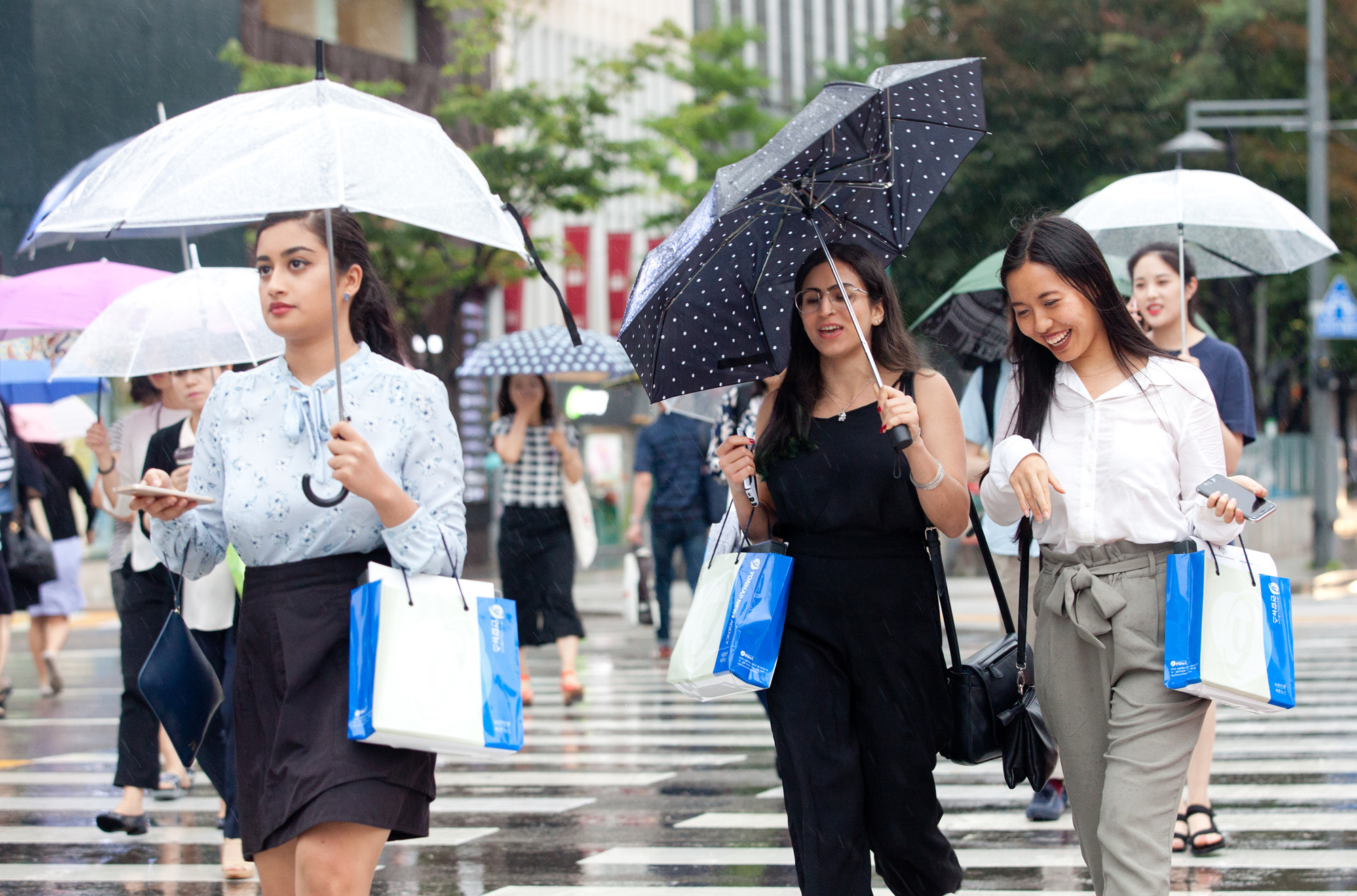 장마;청계천;광화문;비;여름비;청계천출입통제