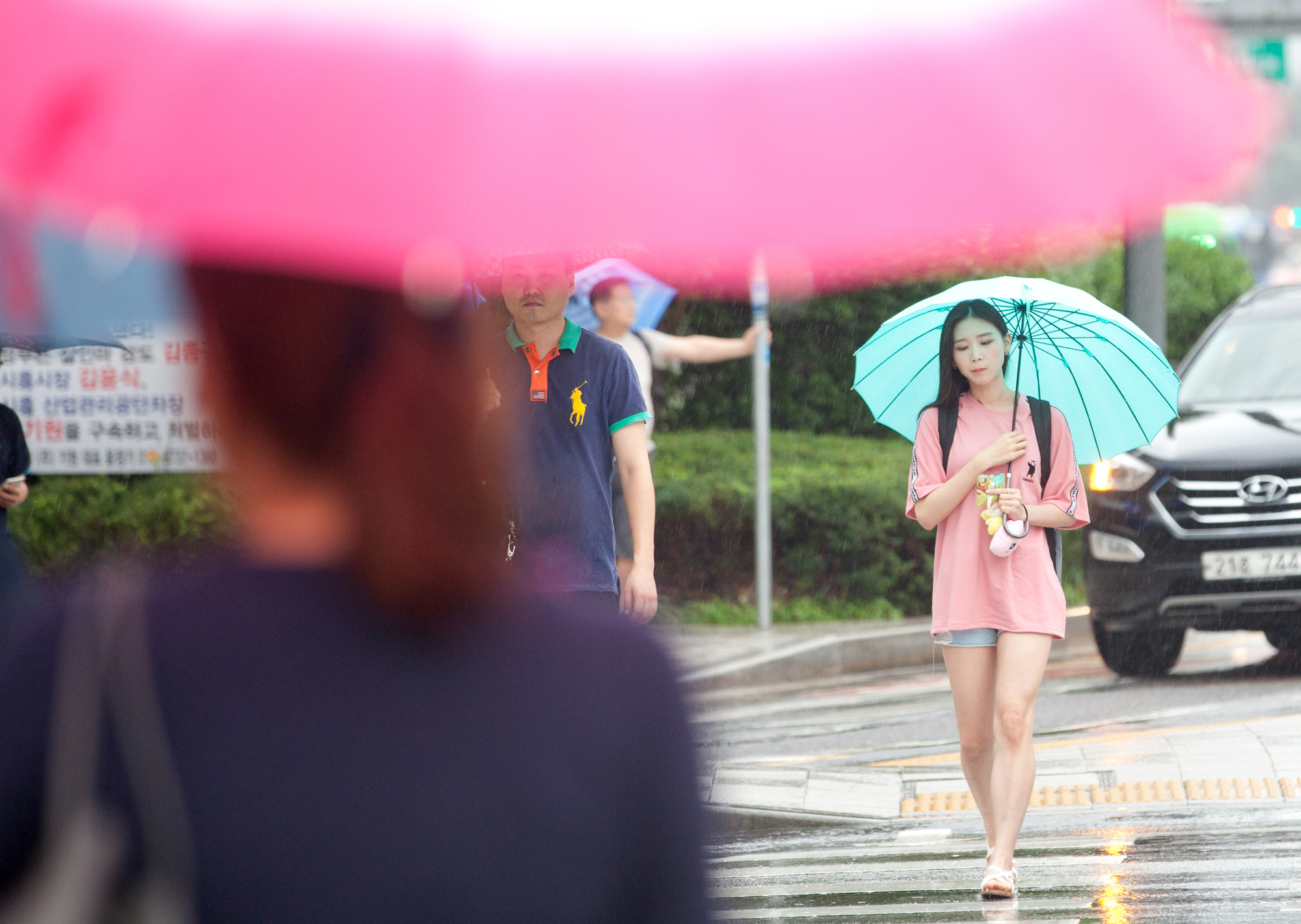 장마;청계천;광화문;비;여름비;청계천출입통제