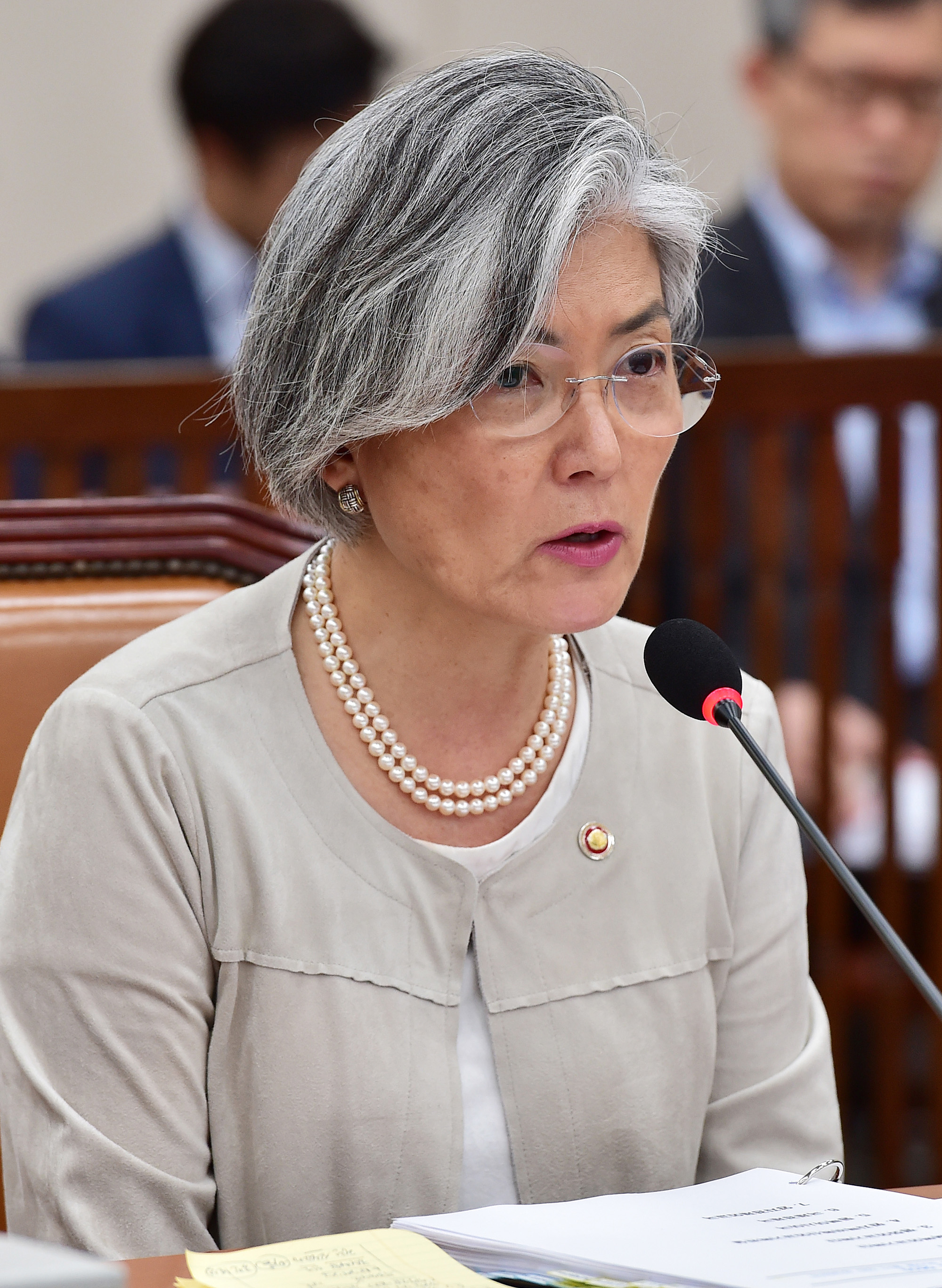 정치;외교통일위원회;강경화;외교부장관