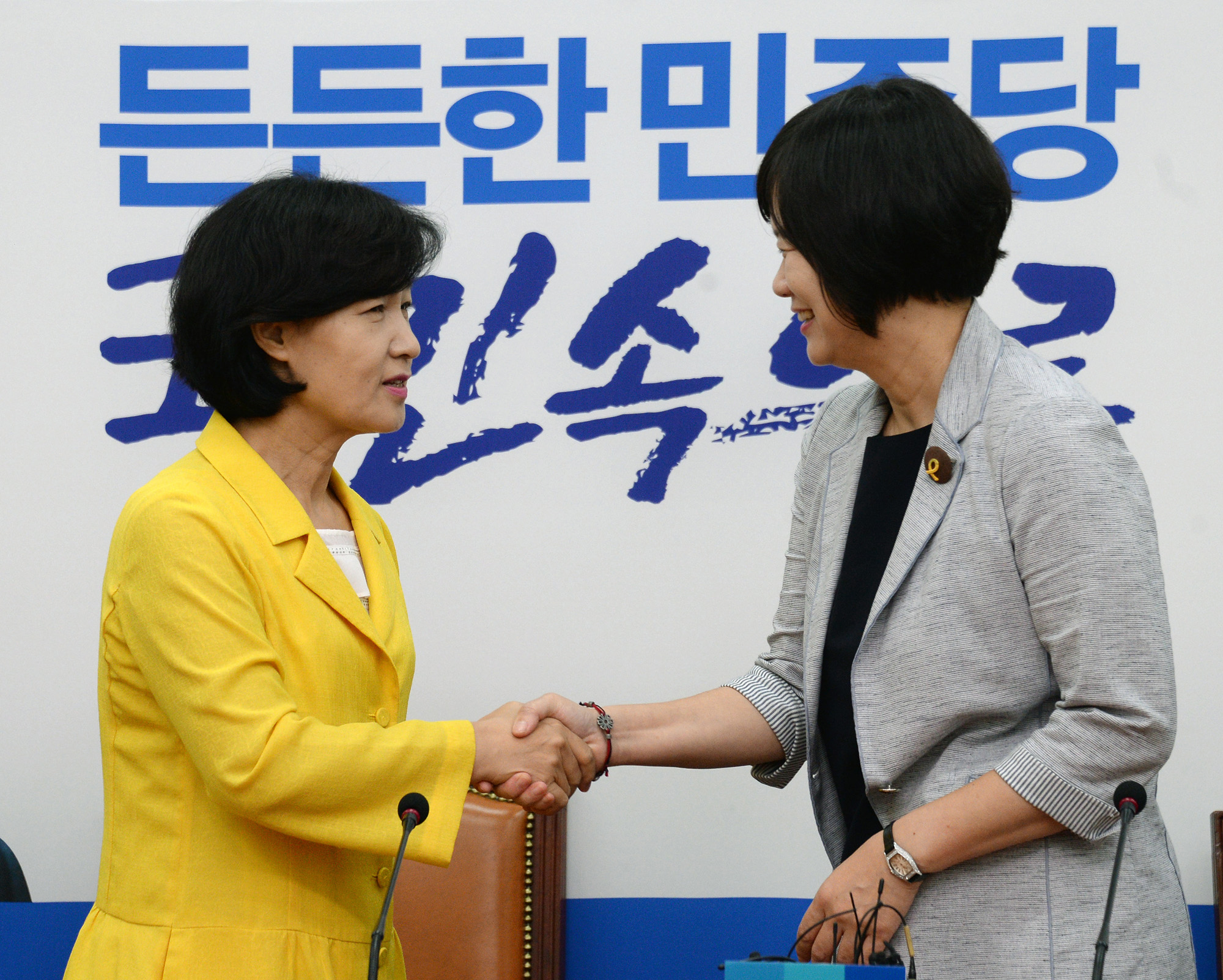 정치;국회;정의당;이정미