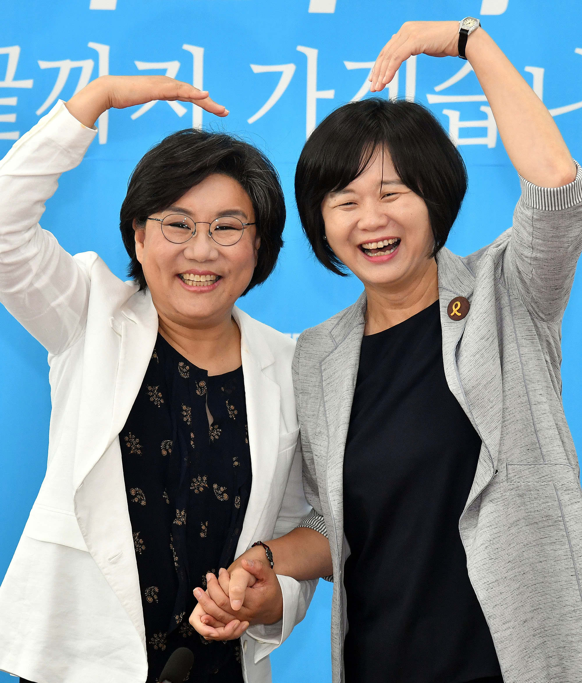 정치;국회;정의당;이정미;이혜훈