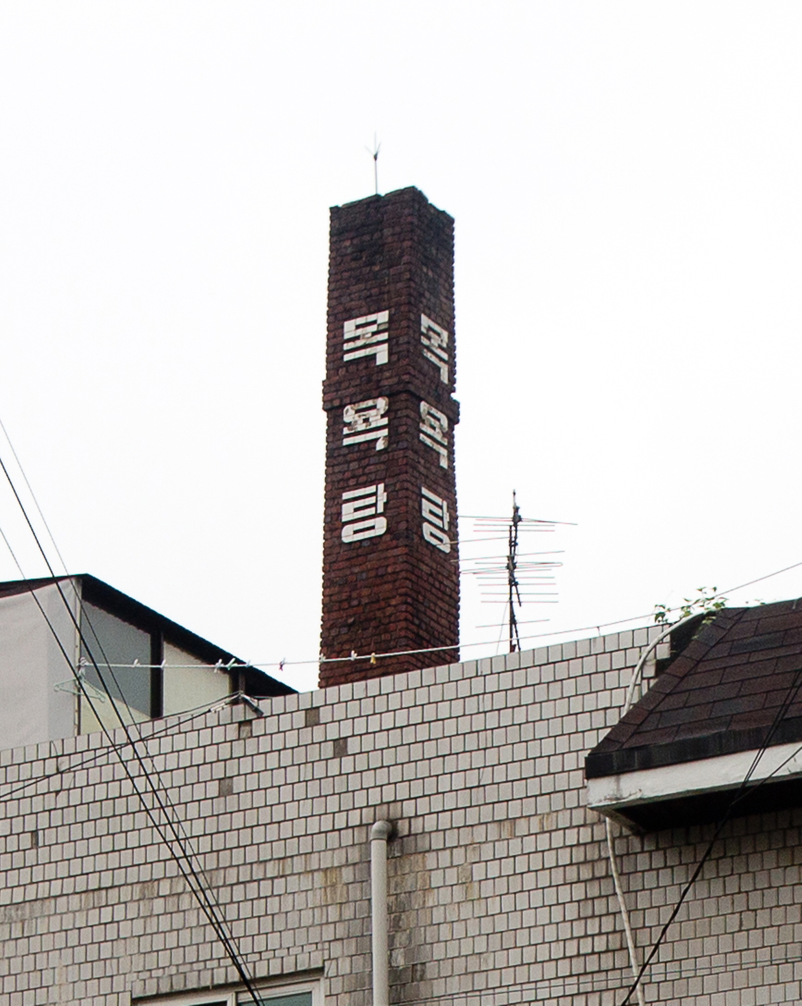 원삼탕