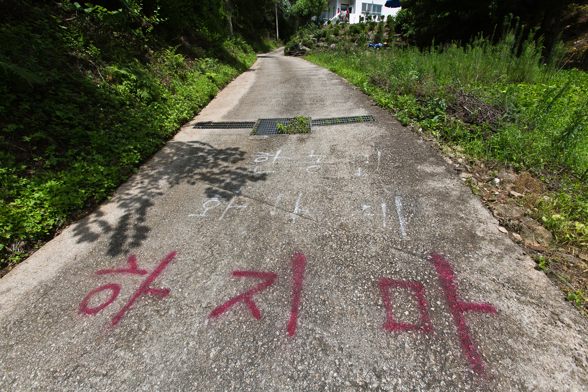 사회/세태/사건사고/누드펜션/누드팬션/누디스