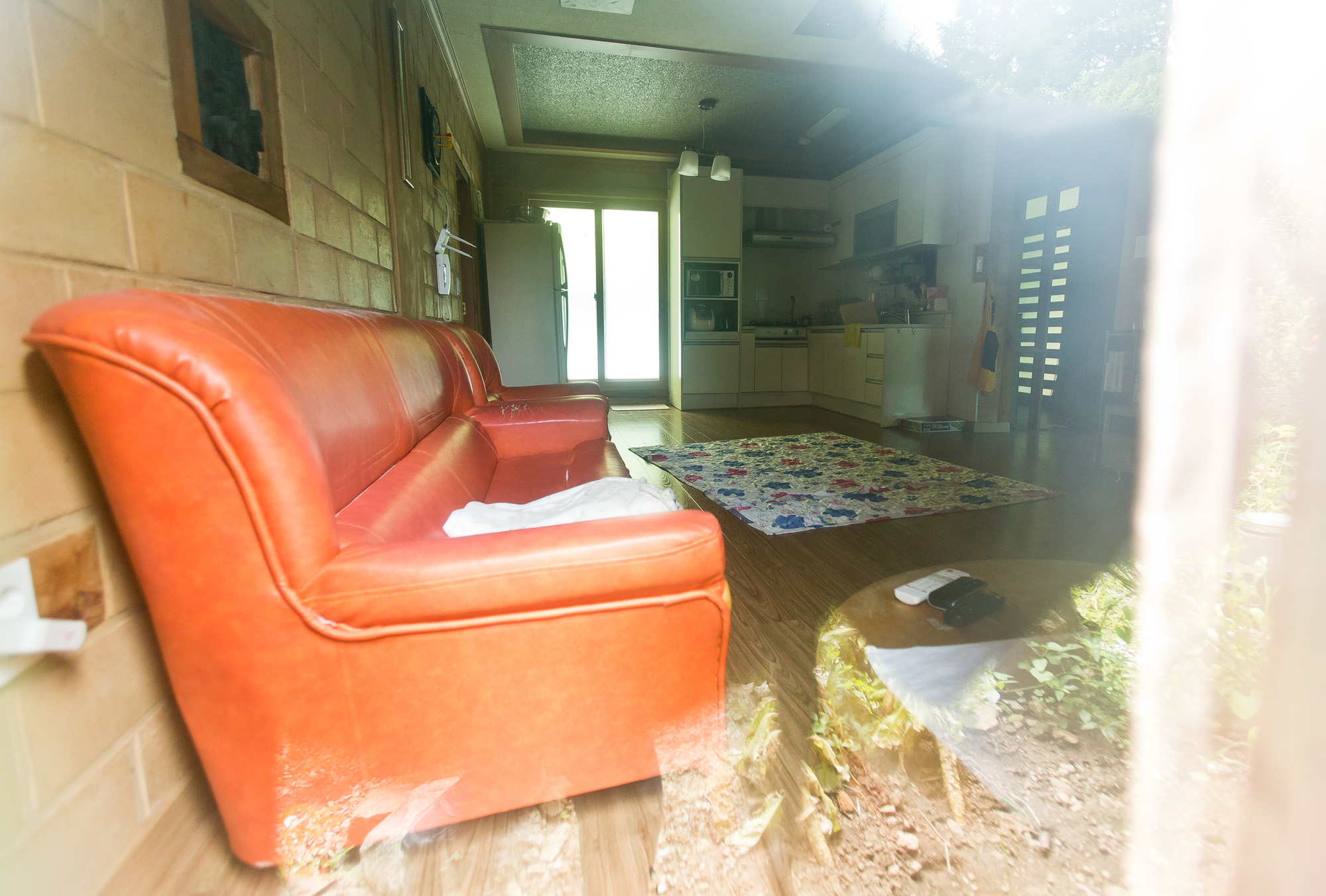 사회/세태/사건사고/누드펜션/누드팬션/누디스