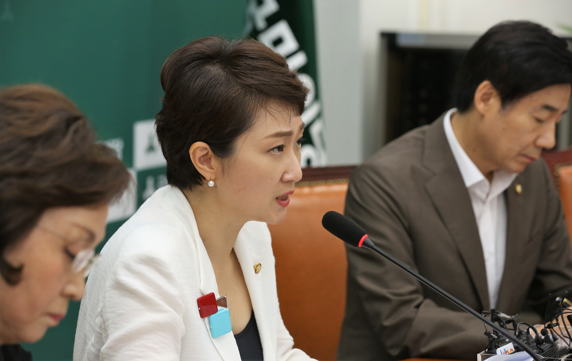 정치;국회;이언주;국민의당