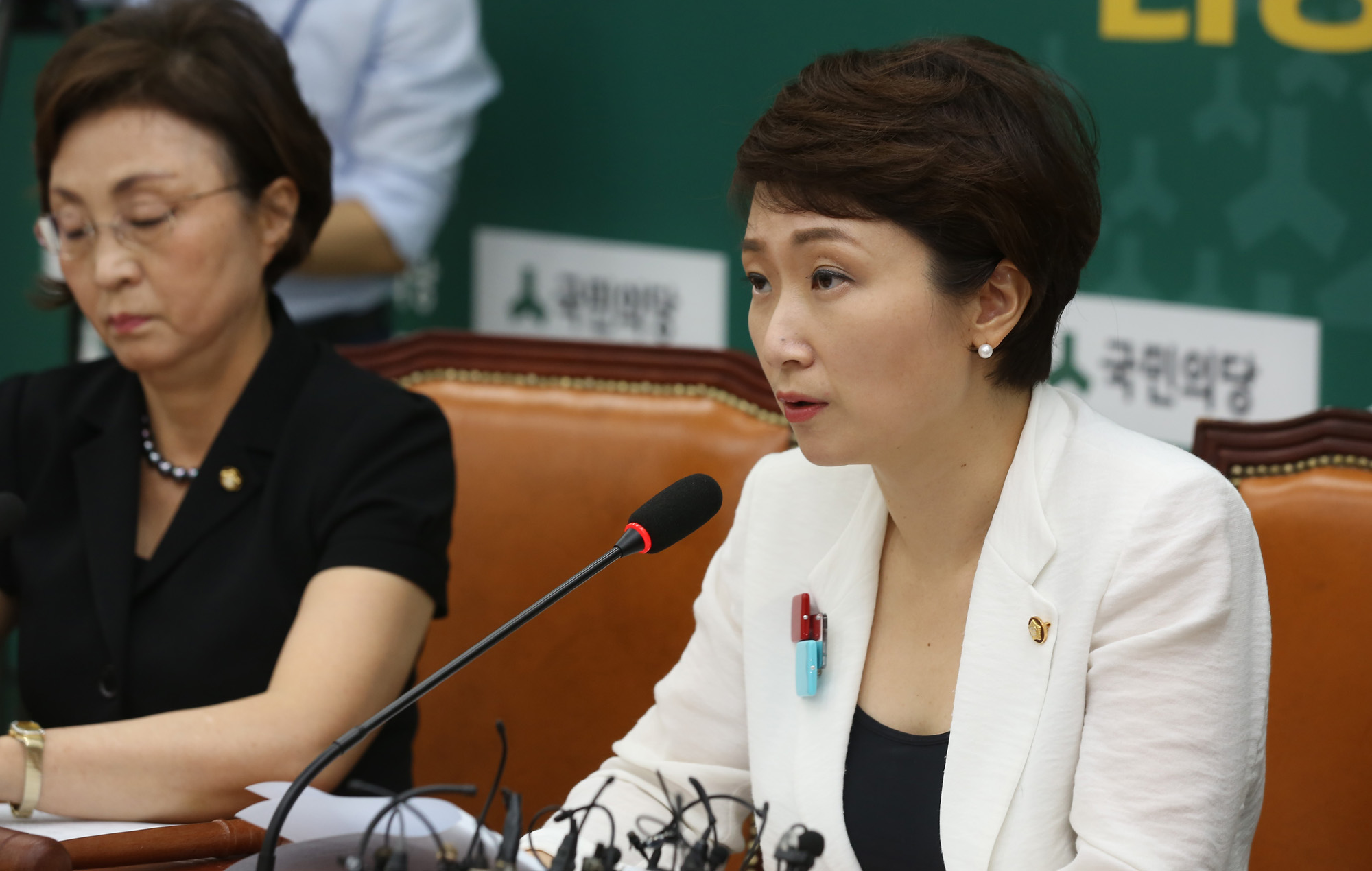 정치;국회;이언주;국민의당