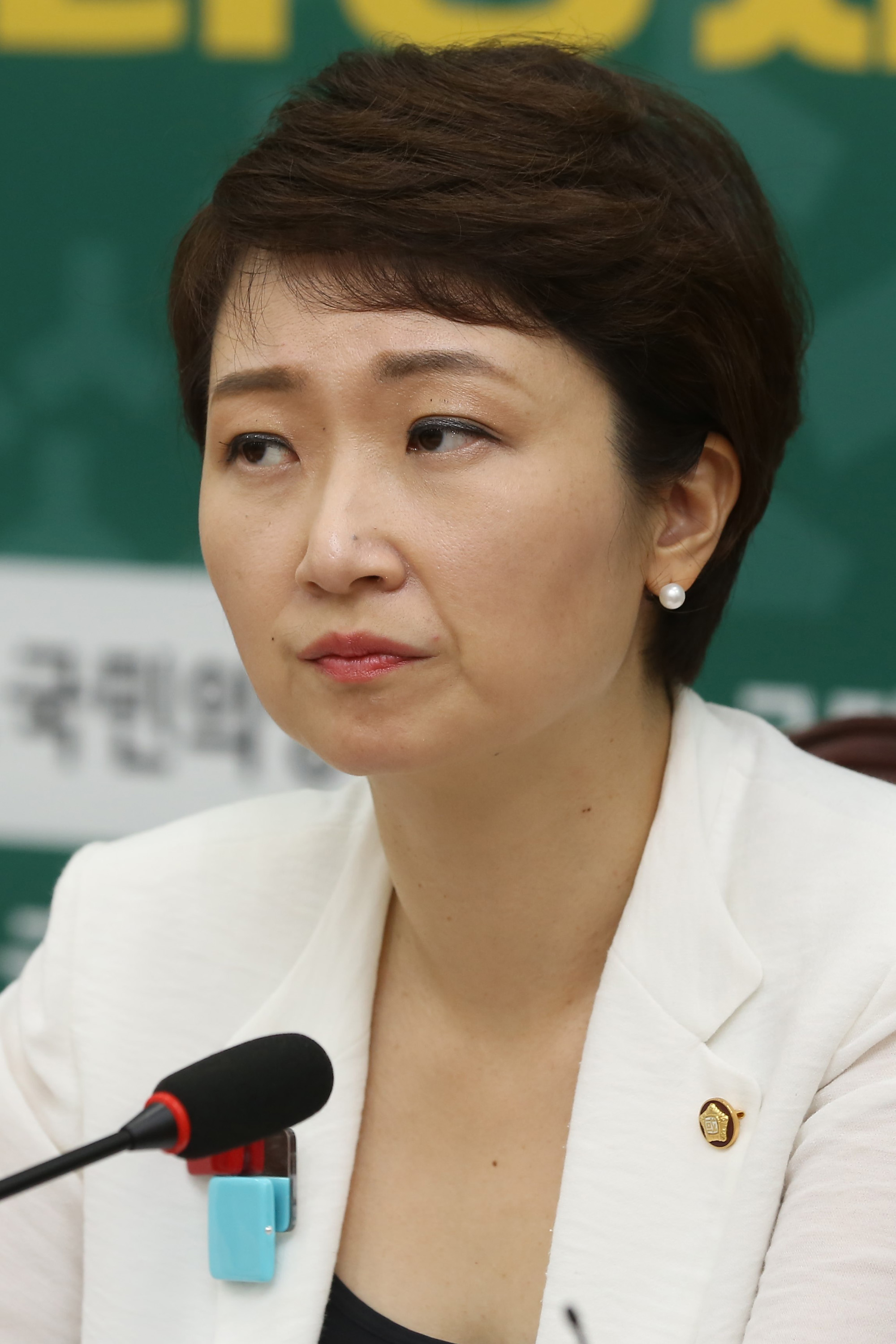 정치;국회;이언주;국민의당