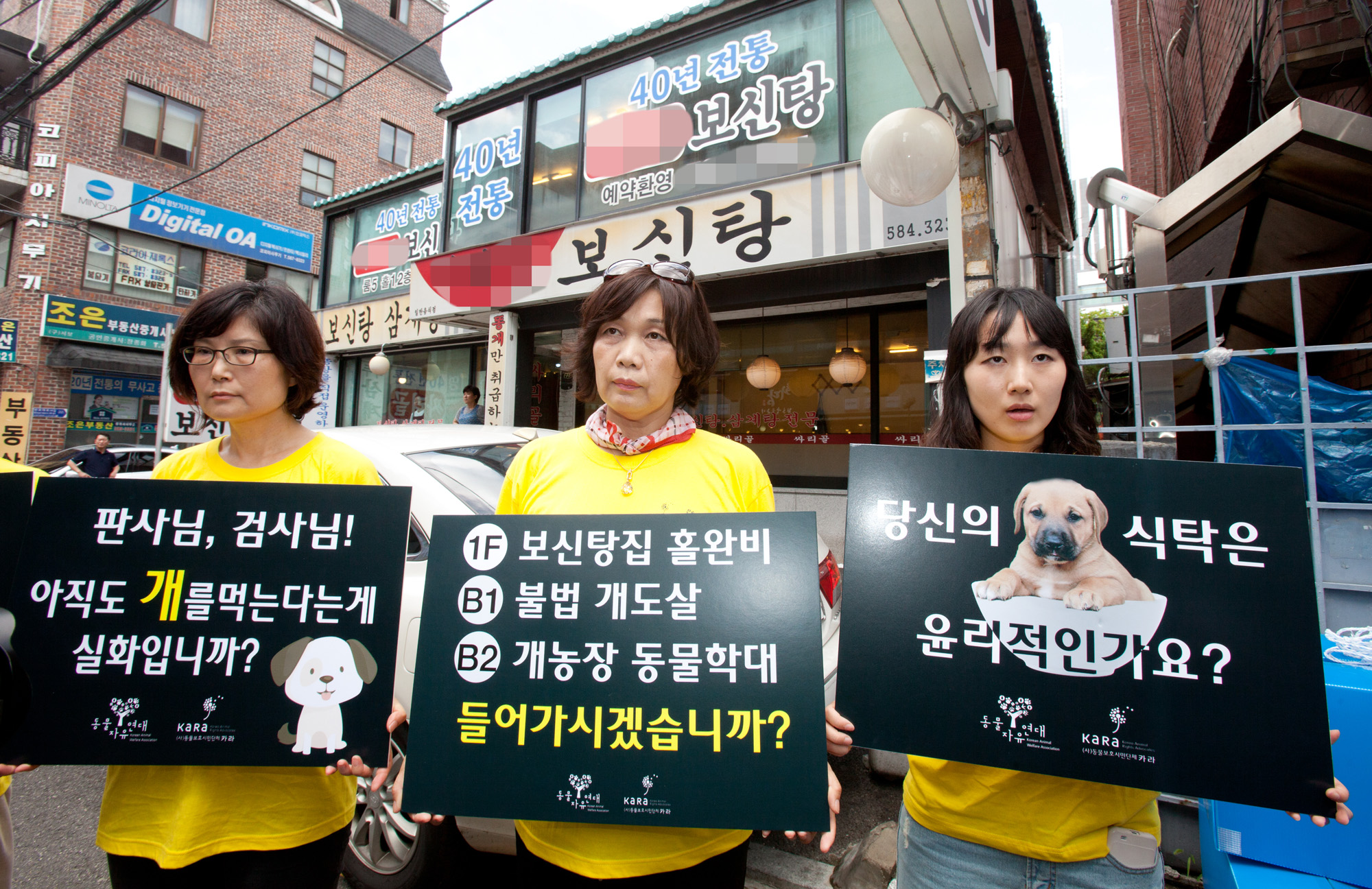 개고기;개고기반대;카라;동물보호단체;고통없는복날;말복;동물자유연대;보신탕