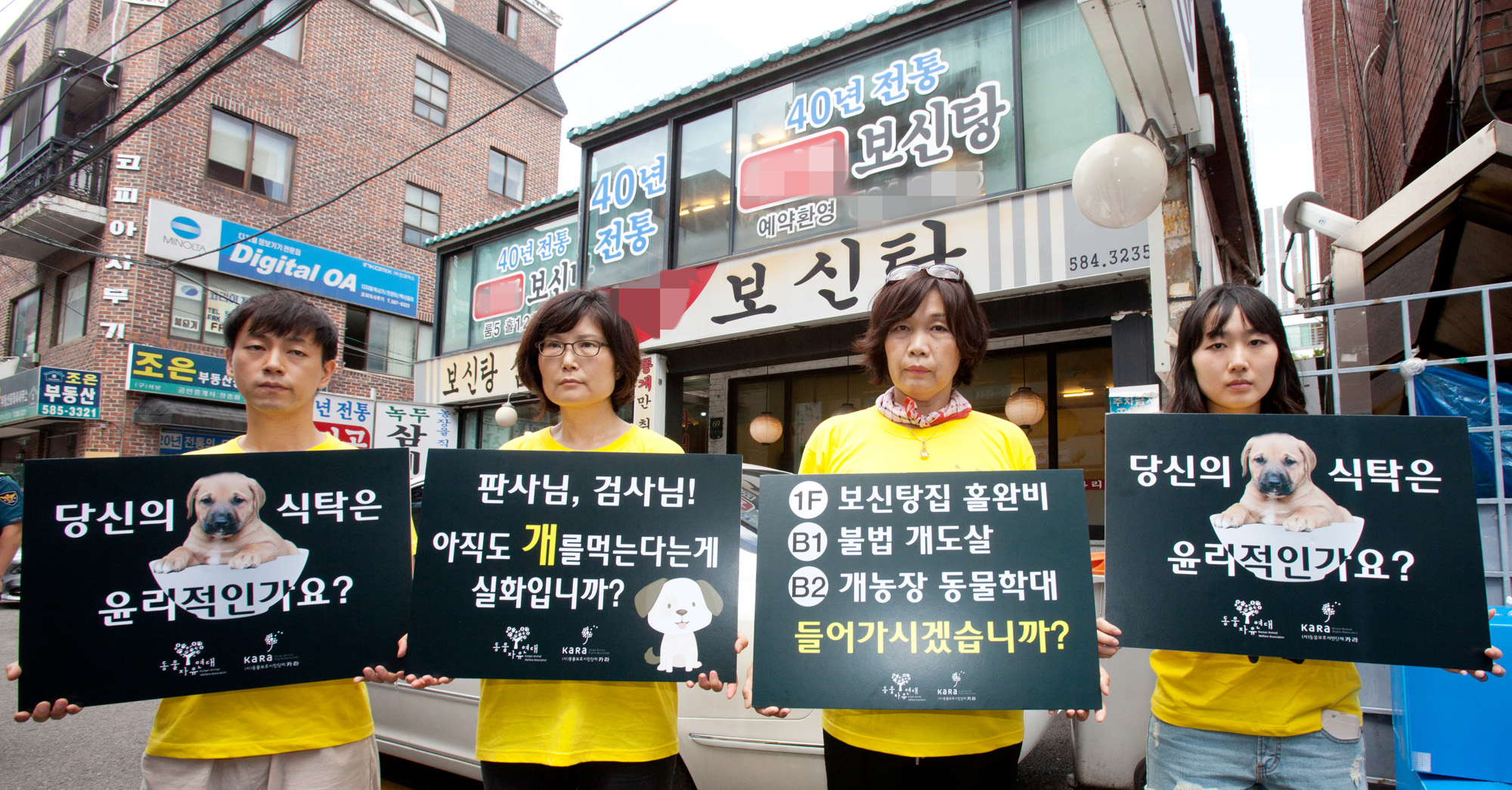 개고기;개고기반대;카라;동물보호단체;고통없는복날;말복;동물자유연대;보신탕