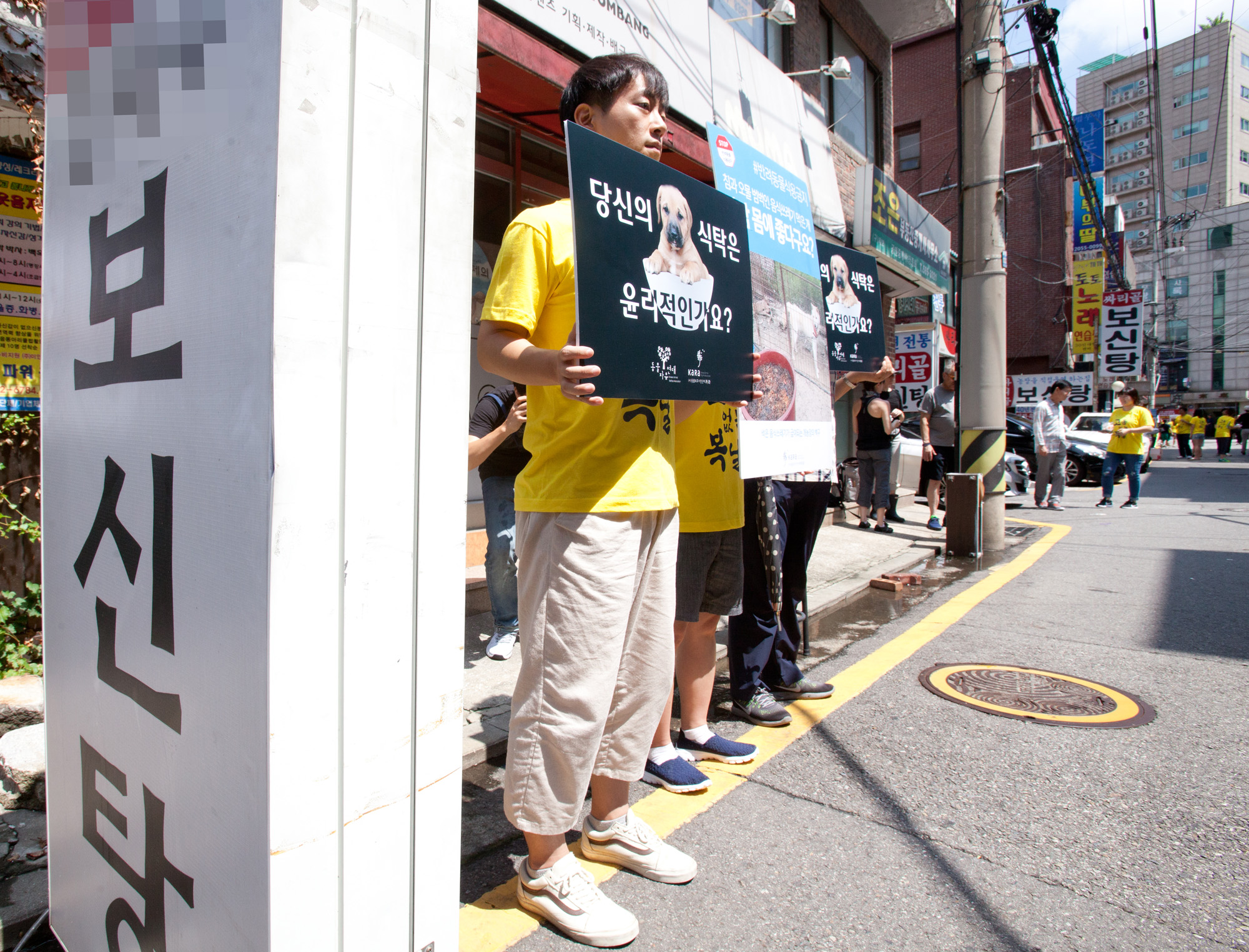 개고기;개고기반대;카라;동물보호단체;고통없는복날;말복;동물자유연대;보신탕