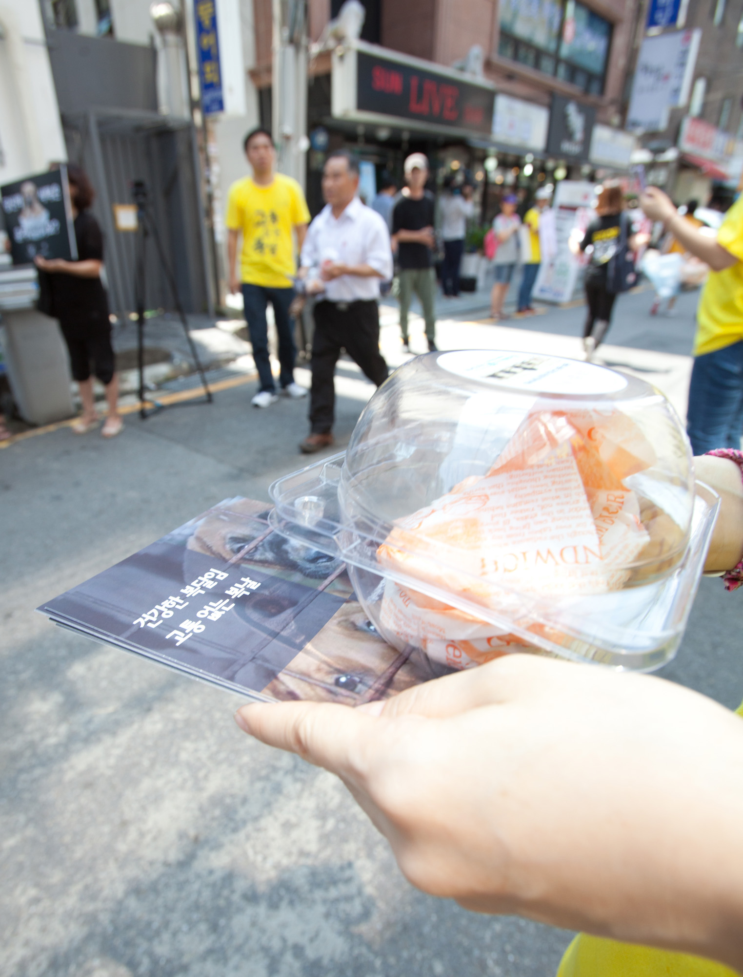 개고기;개고기반대;카라;동물보호단체;고통없는복날;말복;동물자유연대;보신탕