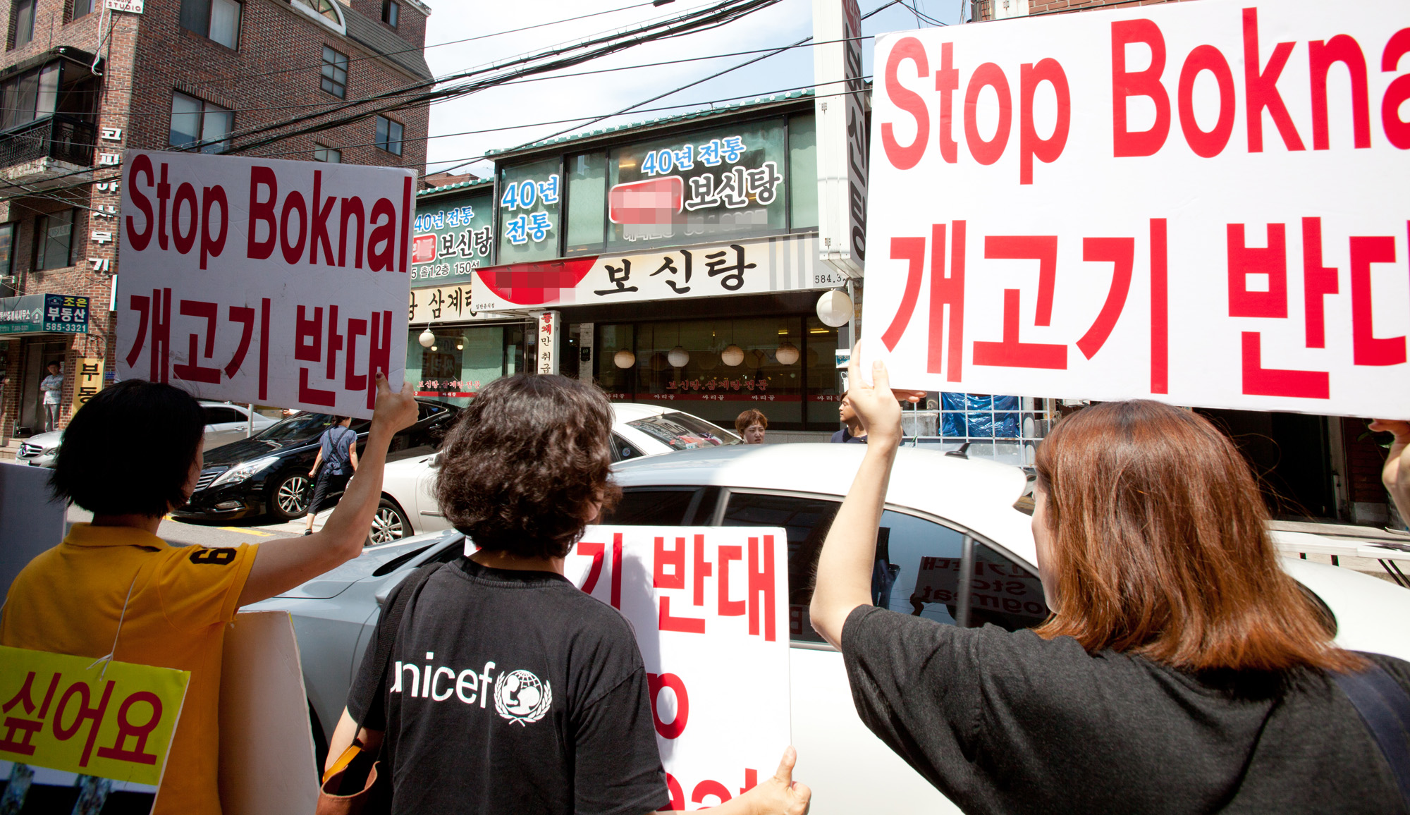 개고기;개고기반대;카라;동물보호단체;고통없는복날;말복;동물자유연대;보신탕