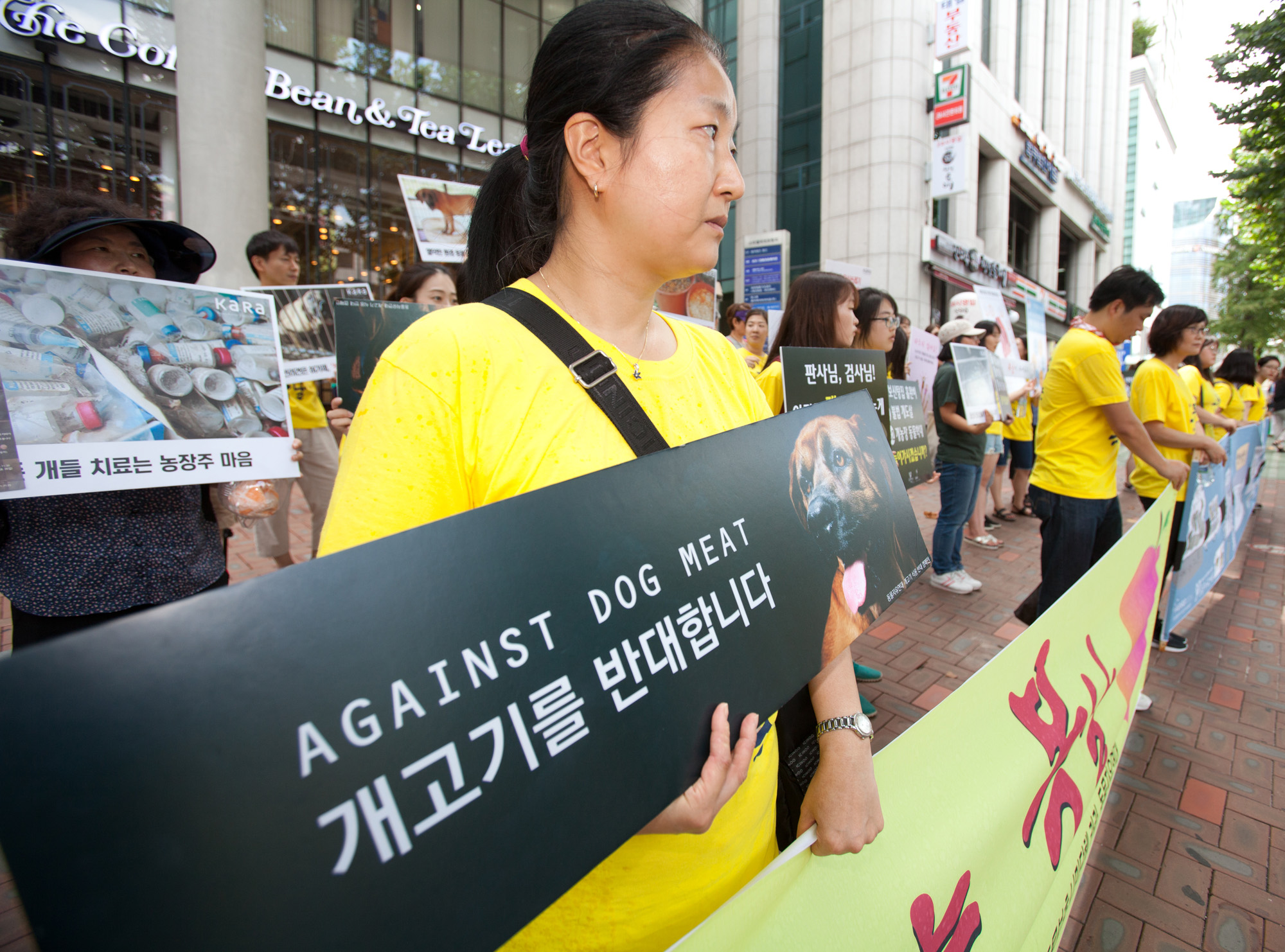 개고기;개고기반대;카라;동물보호단체;고통없는복날;말복;동물자유연대;보신탕