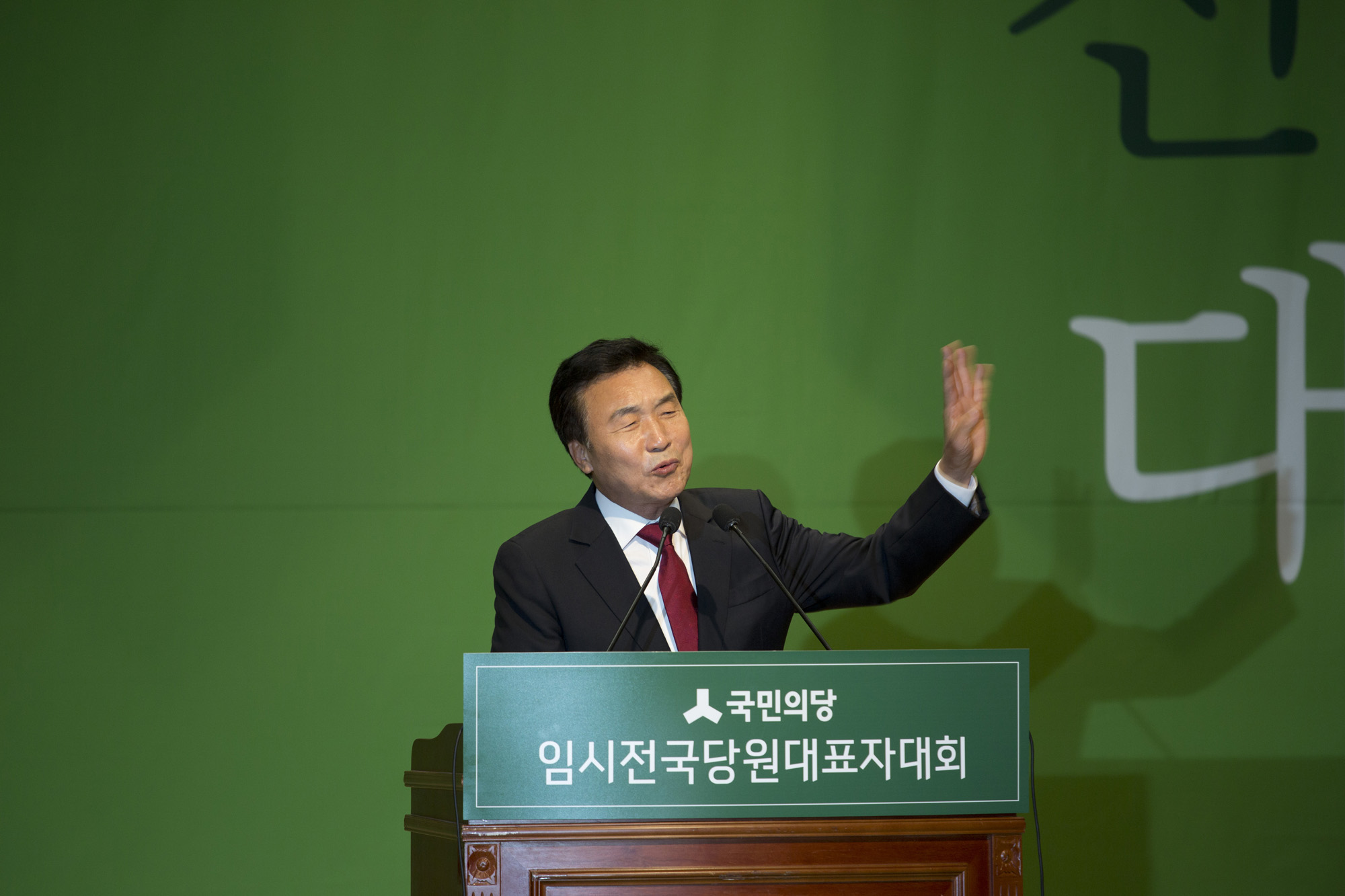 국회;정당;국민의당;전당대회;임시전국당원대표자대회