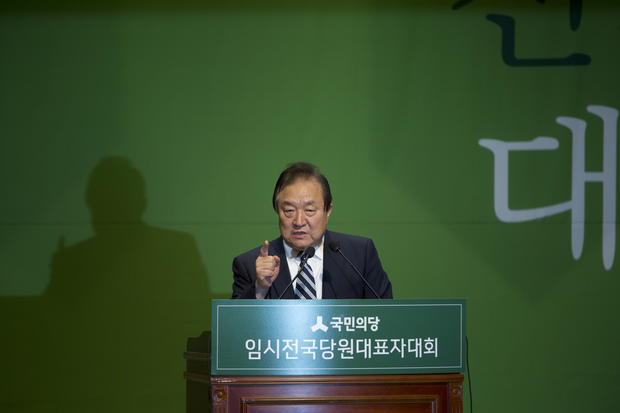 국회;정당;국민의당;전당대회;임시전국당원대표자대회