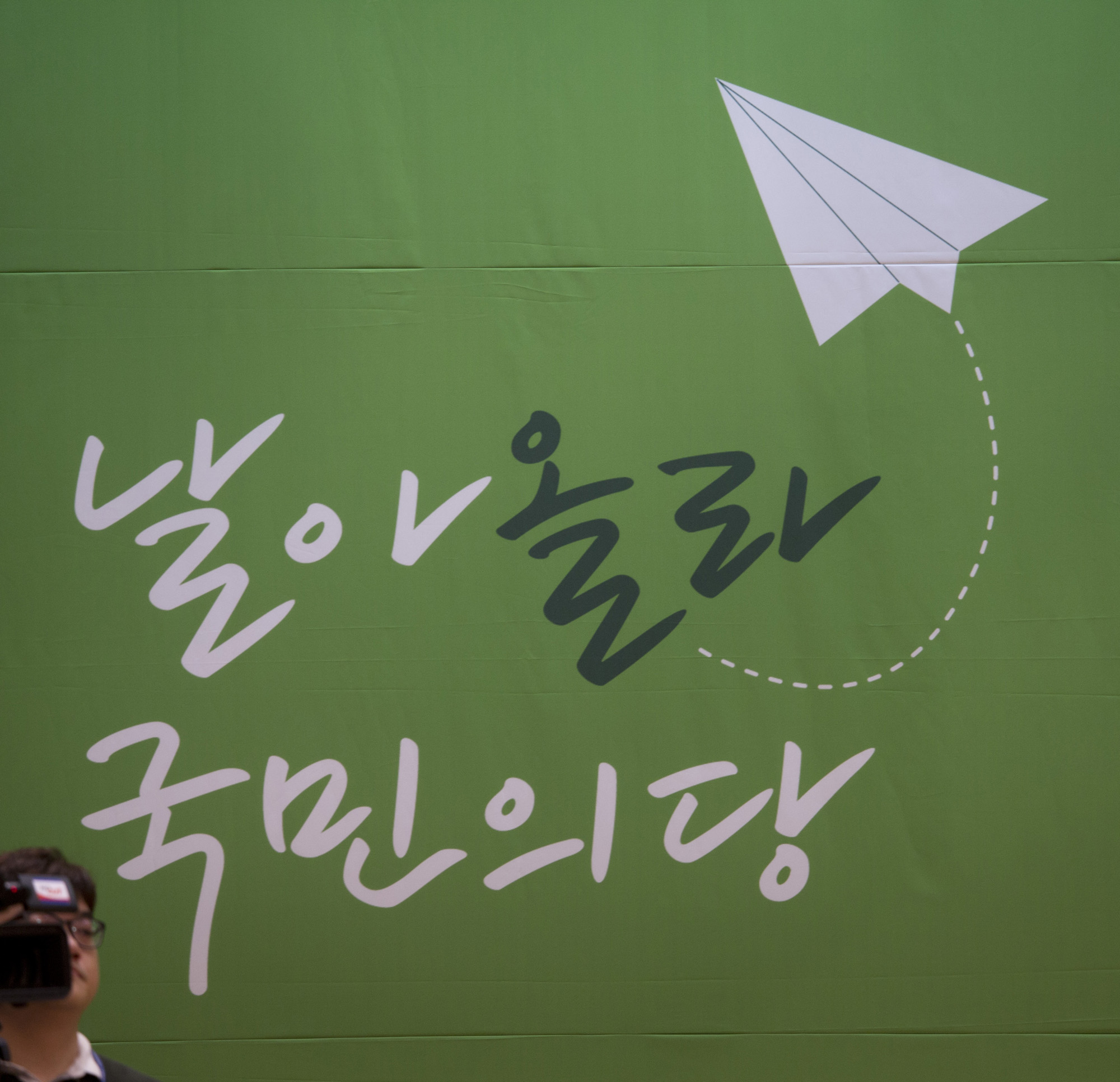 국회;정당;국민의당;전당대회;임시전국당원대표자대회