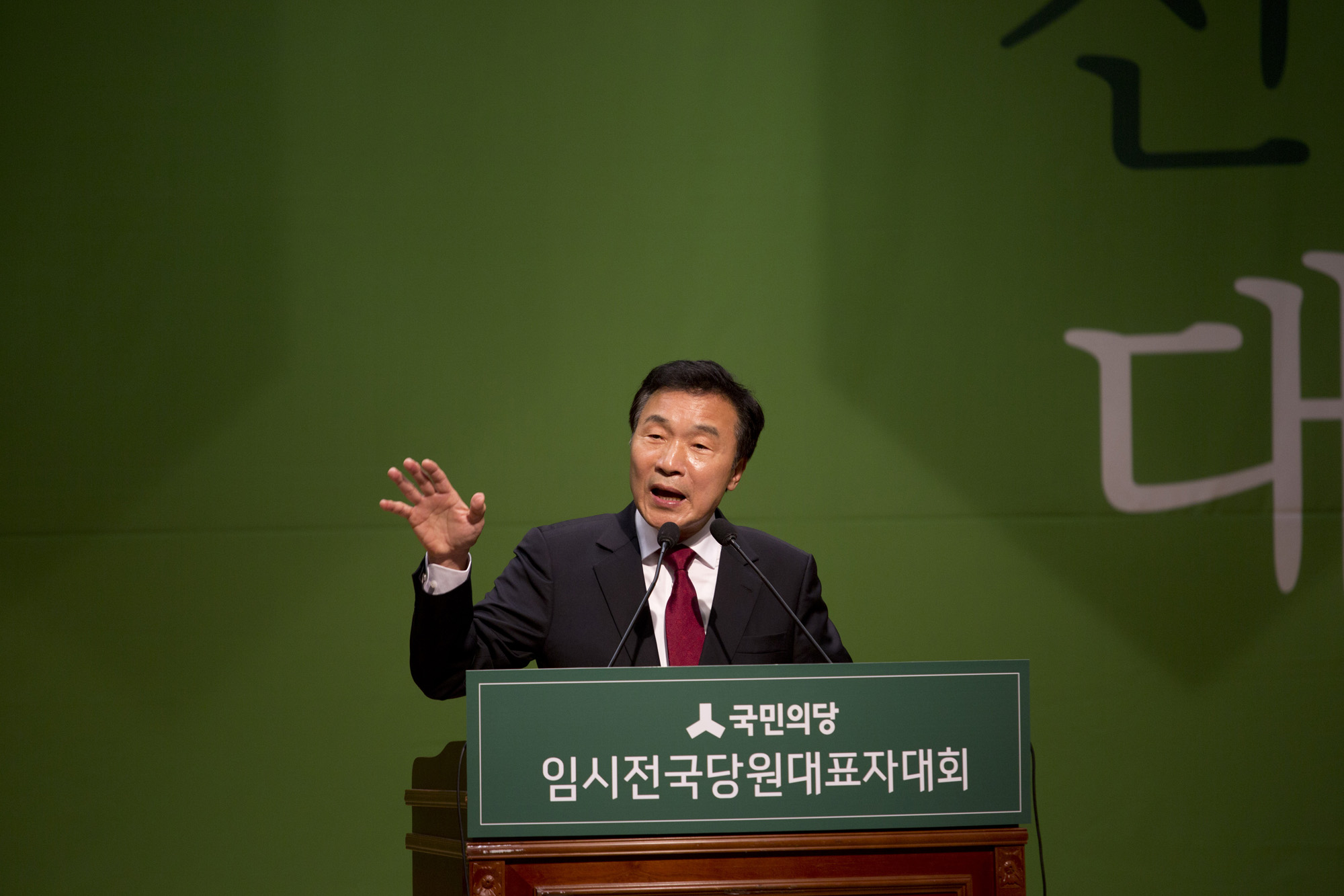 국회;정당;국민의당;전당대회;임시전국당원대표자대회