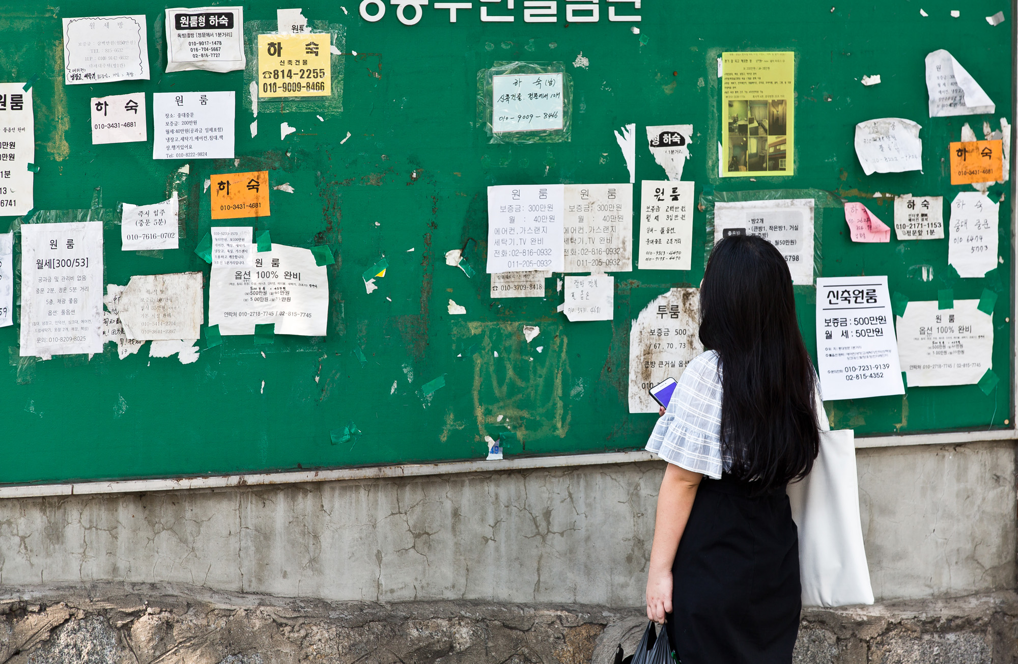 사회/세태/주택/부동산/경제/부동산대란/청년전