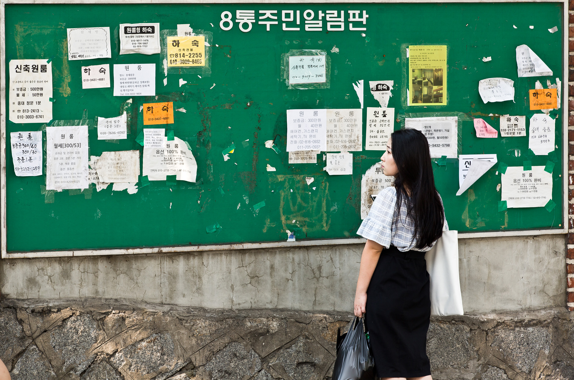 사회/세태/주택/부동산/경제/부동산대란/청년전