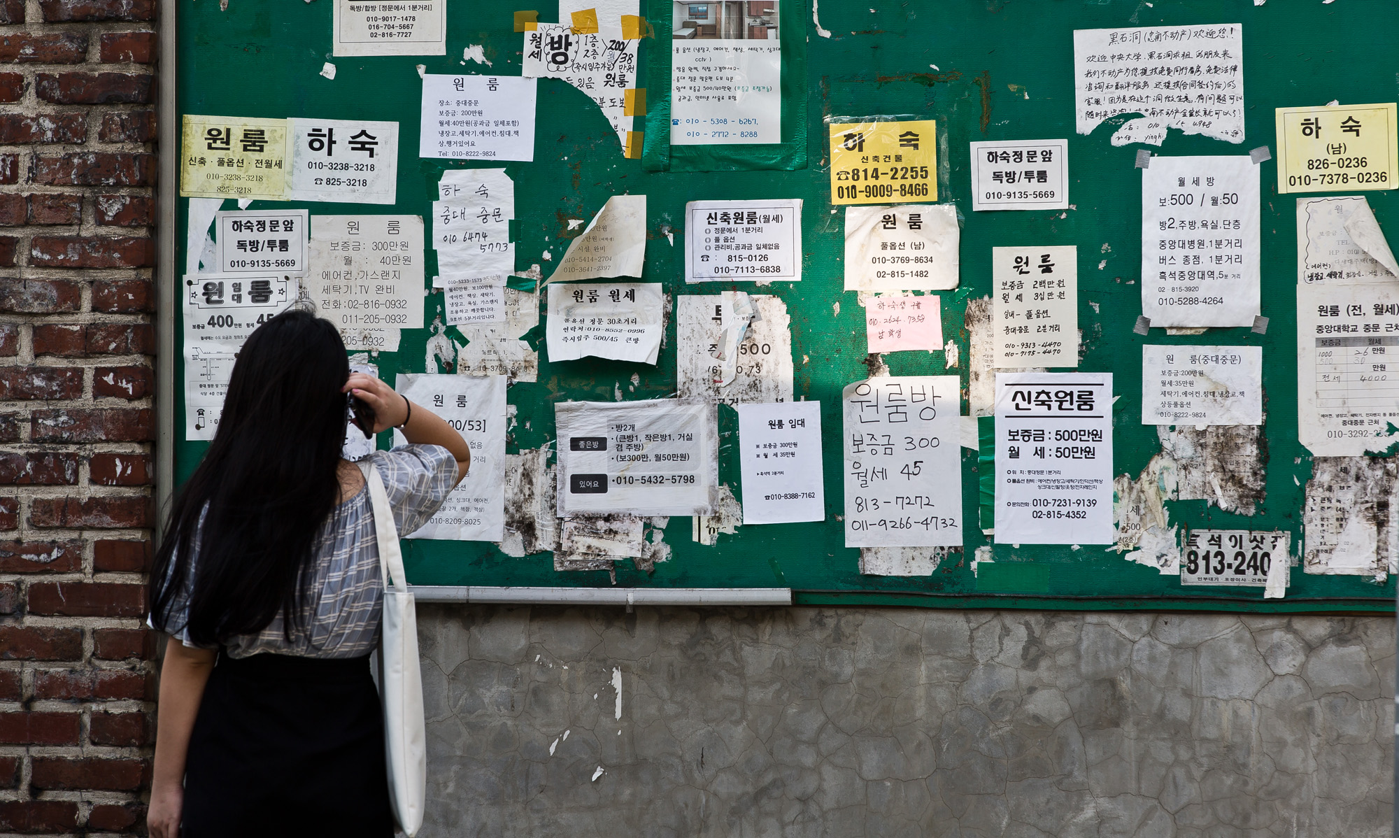 사회/세태/주택/부동산/경제/부동산대란/청년전