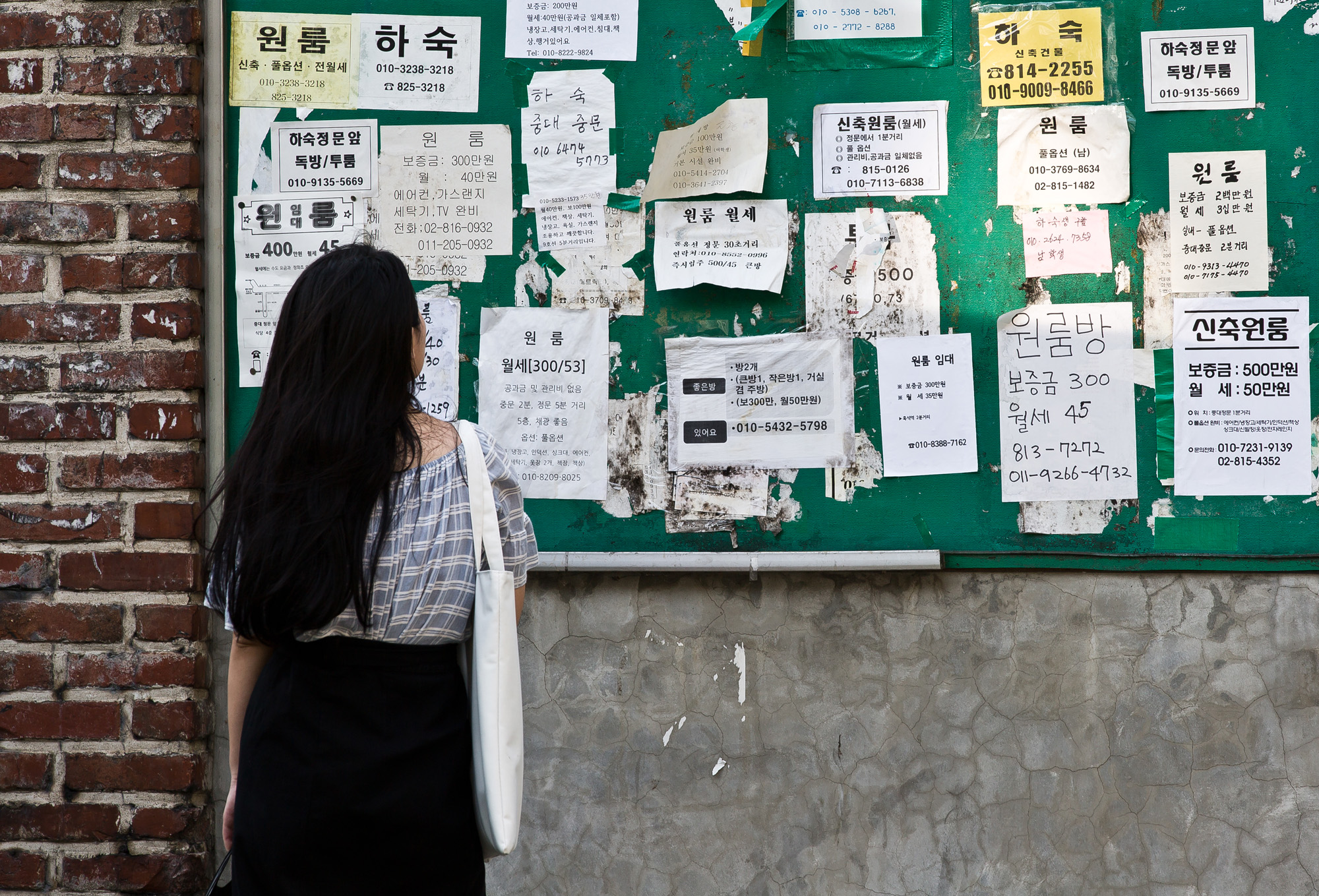 사회/세태/주택/부동산/경제/부동산대란/청년전