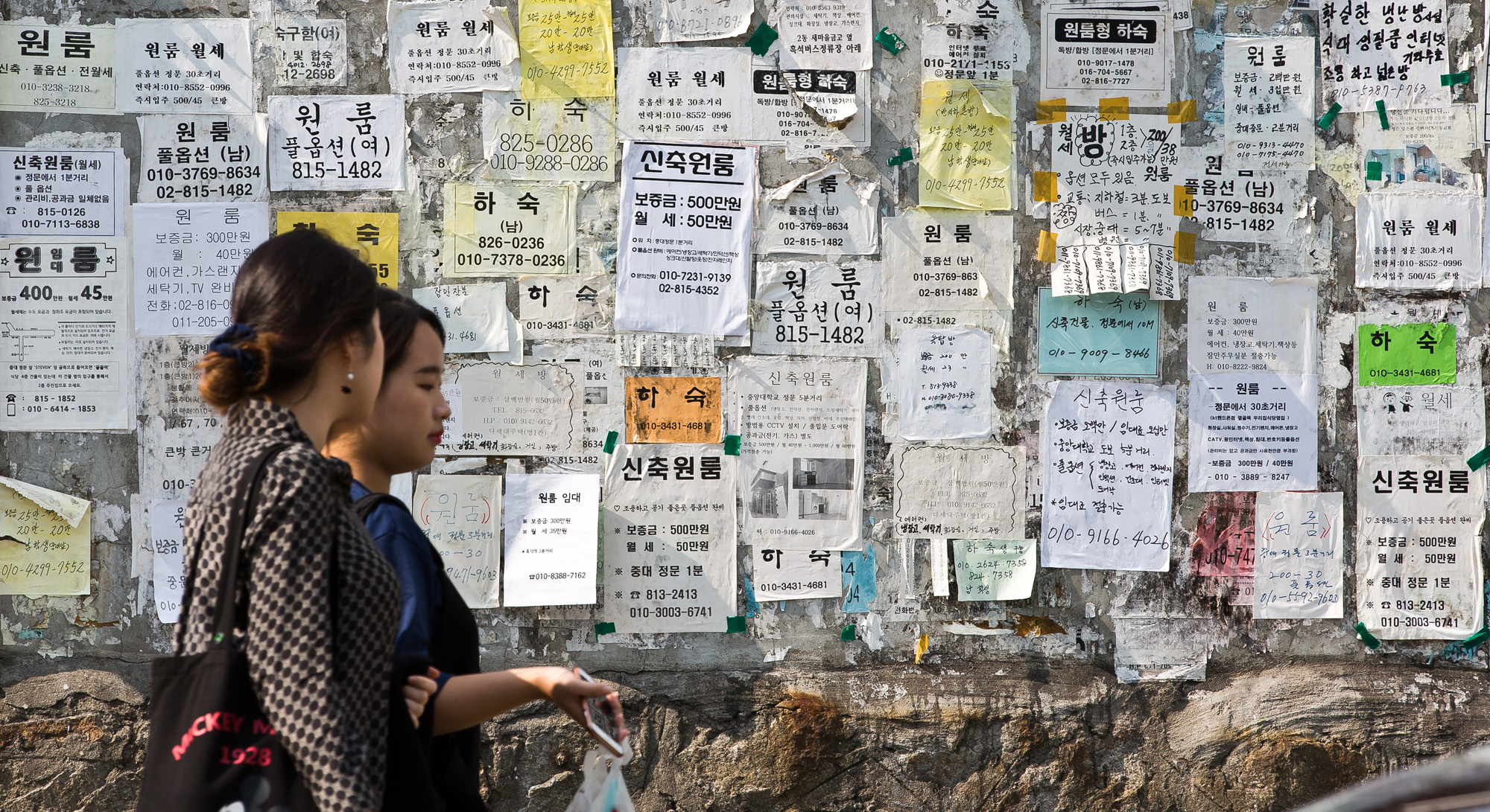 사회/세태/주택/부동산/경제/부동산대란/청년전