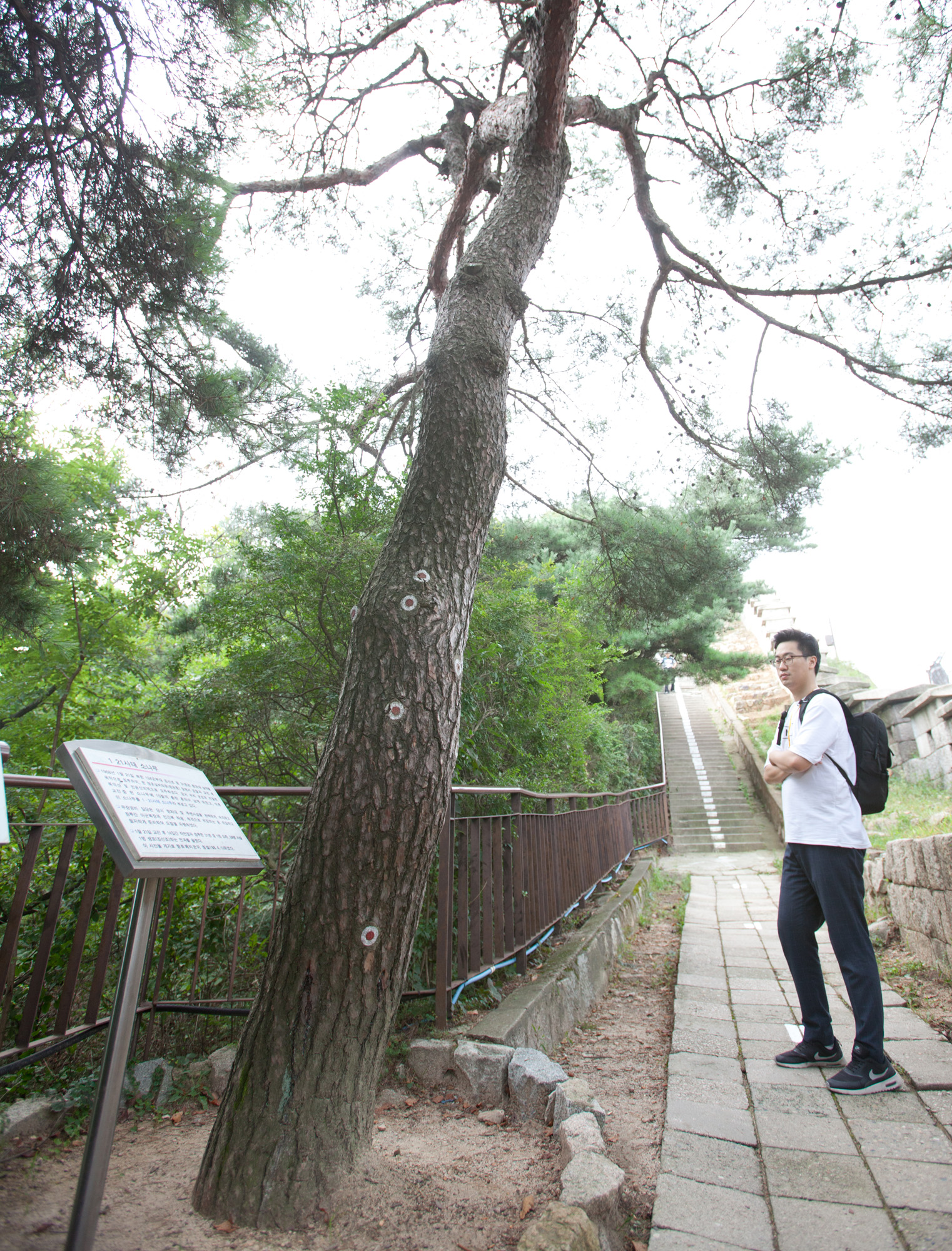 김신조;1.21;1·21;숙정문;나무계단;창의문;숙정문안내소