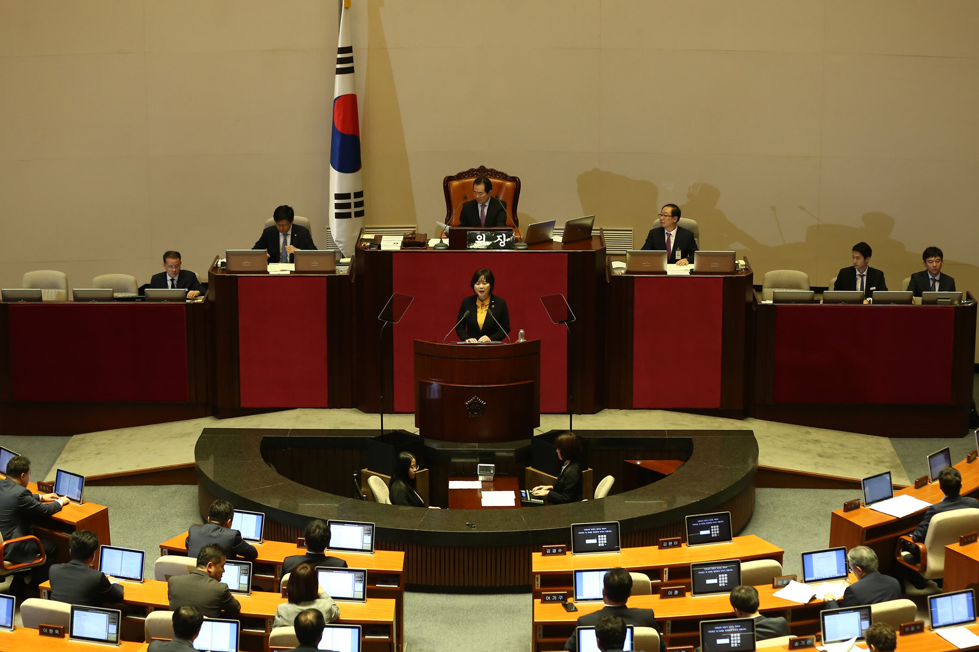 정치;국회;본회의;김이수헌법재판관;비교섭단체대표발언