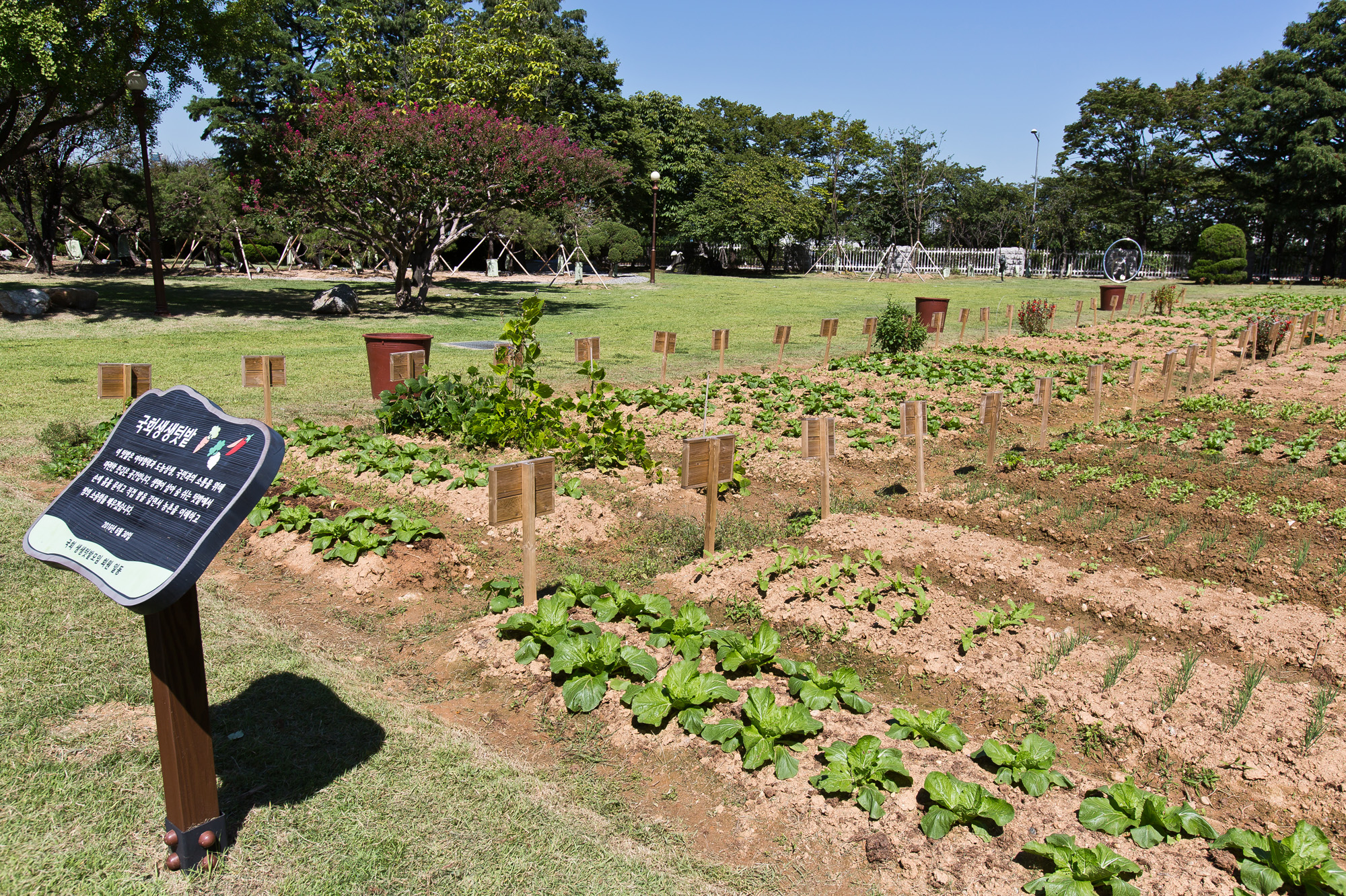 국회/국회의사당/국회생생텃밭/국회의원텃밭