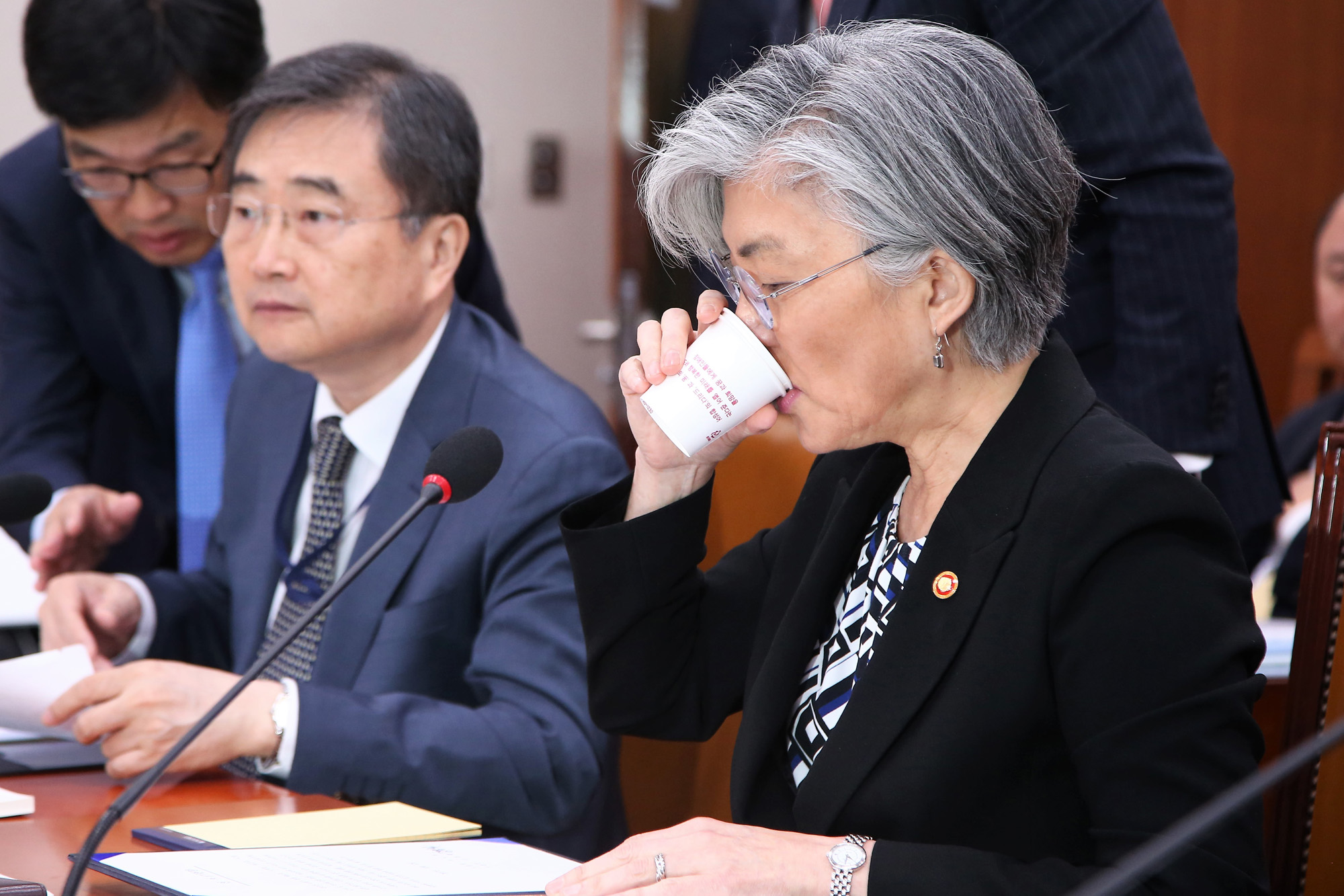 정치;국회;국정감사;외교통일위원회;외교부장관;강경화