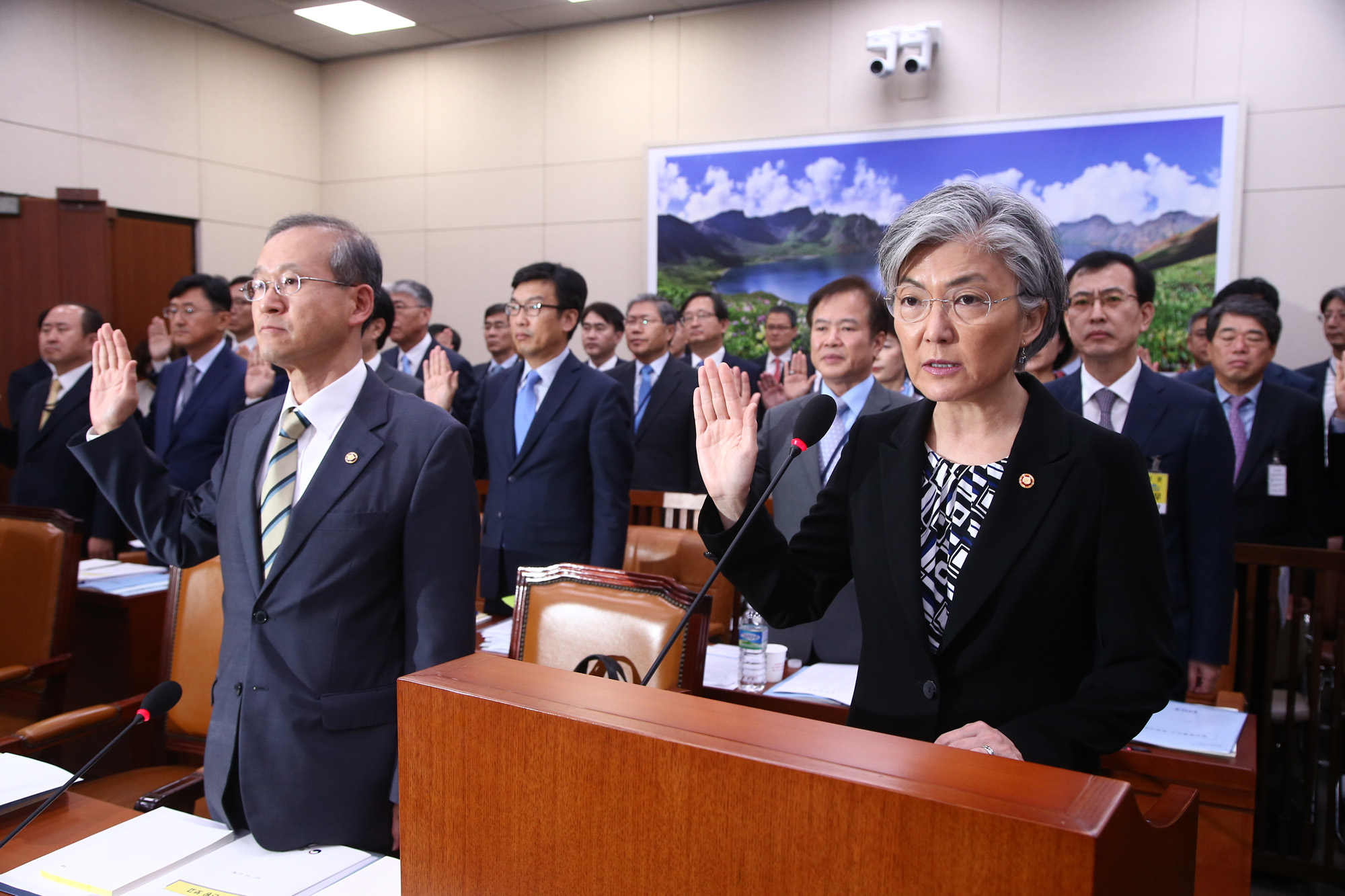 정치;국회;국정감사;외교통일위원회;외교부장관;강경화