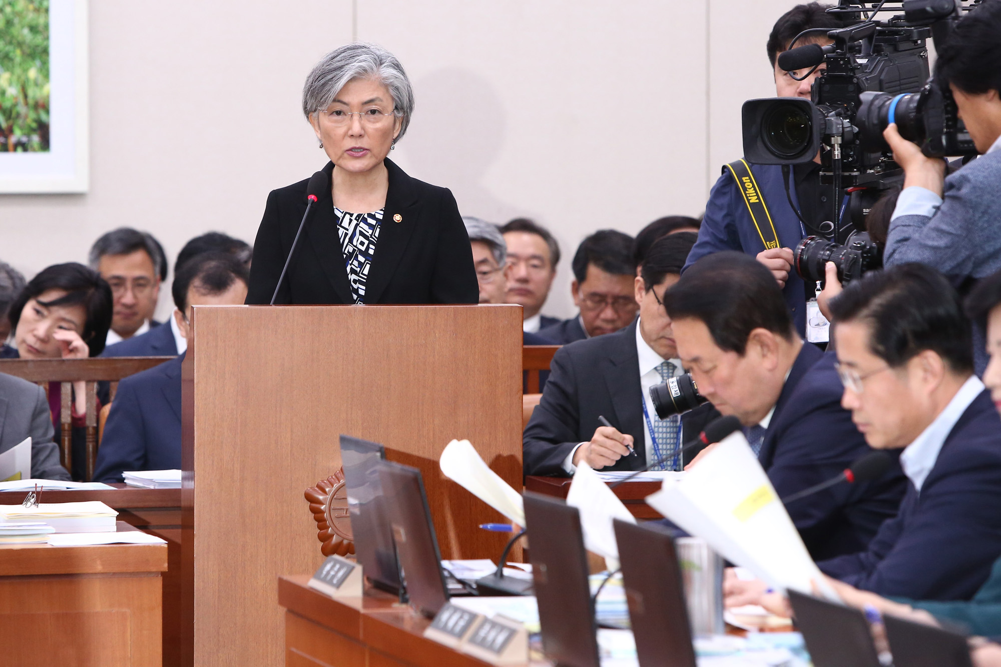 정치;국회;국정감사;외교통일위원회;외교부장관;강경화