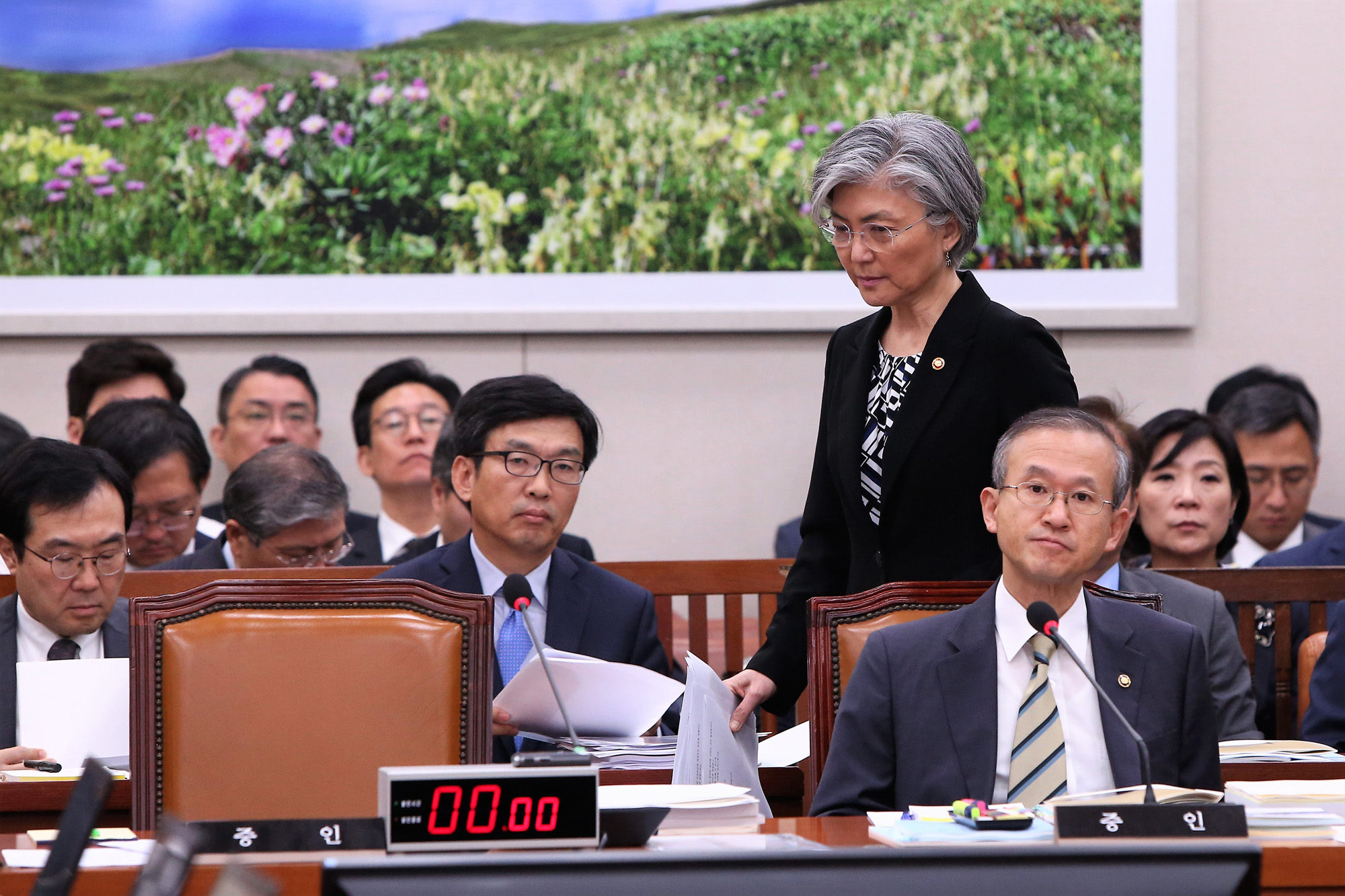 정치;국회;국정감사;외교통일위원회;외교부장관;강경화