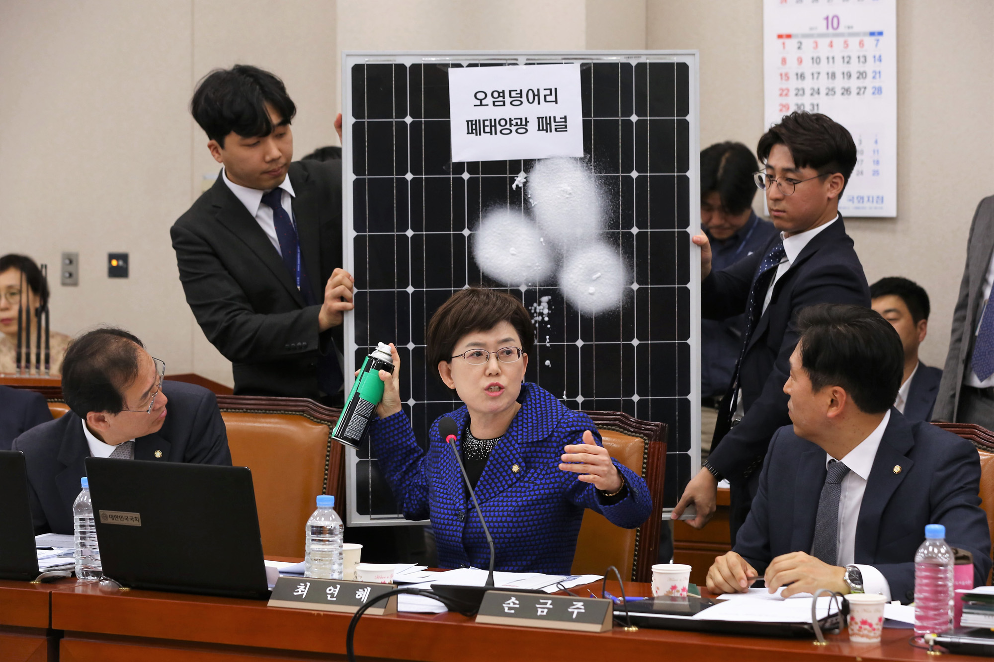 정치;국회;최연혜;태양광패널