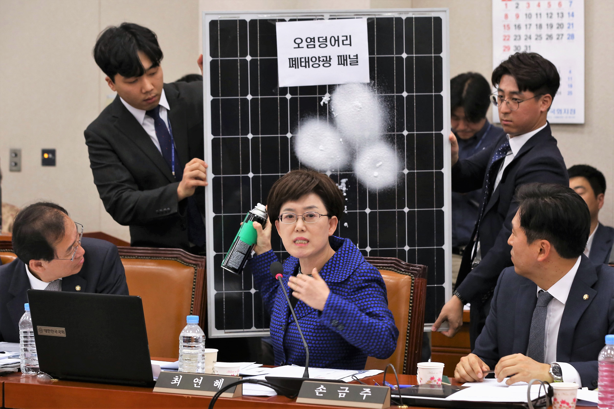 정치;국회;최연혜;태양광패널