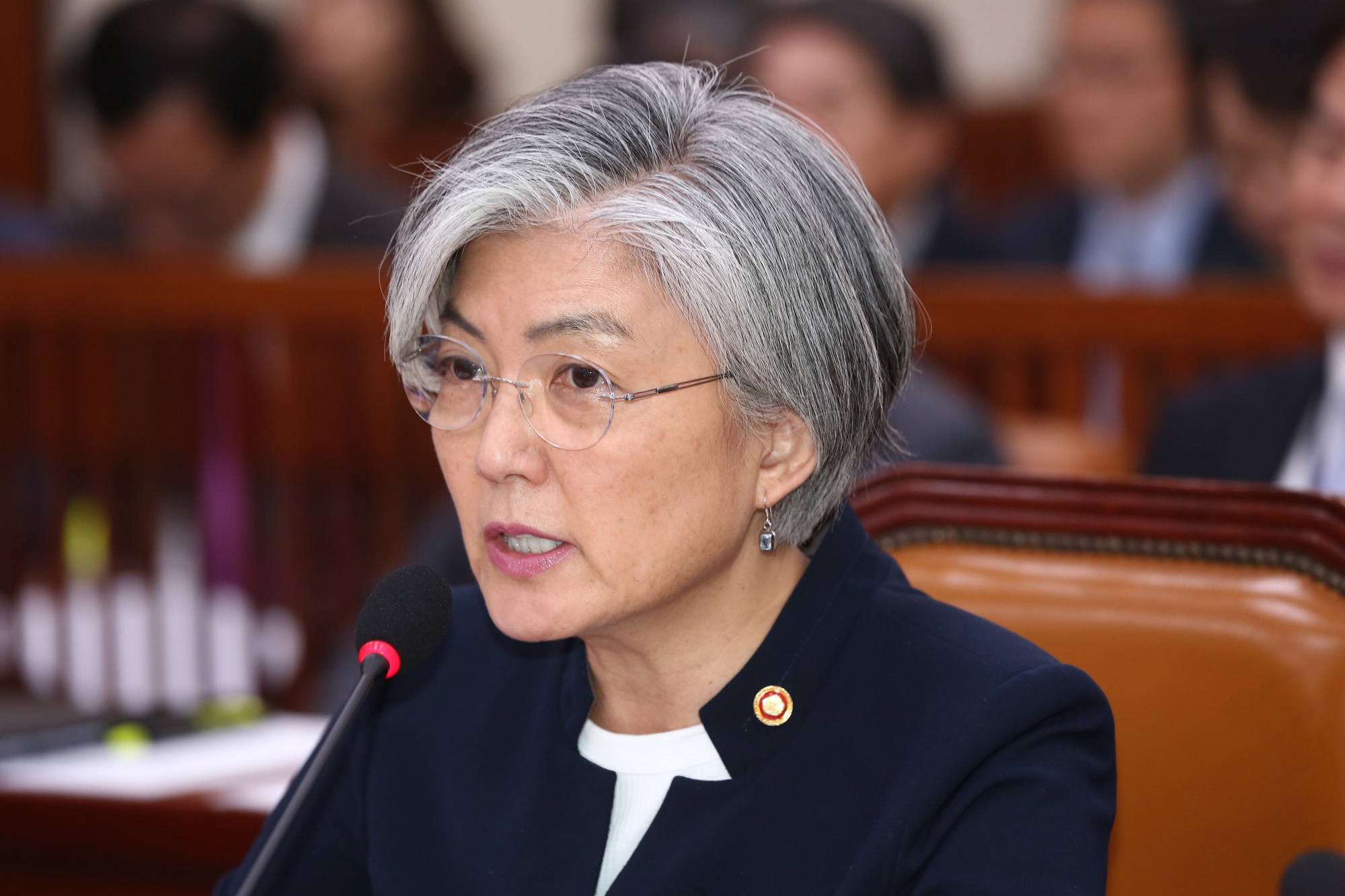 정치;국회;강경화;외교부장관;국정감사;종합감사;외교통일위원회