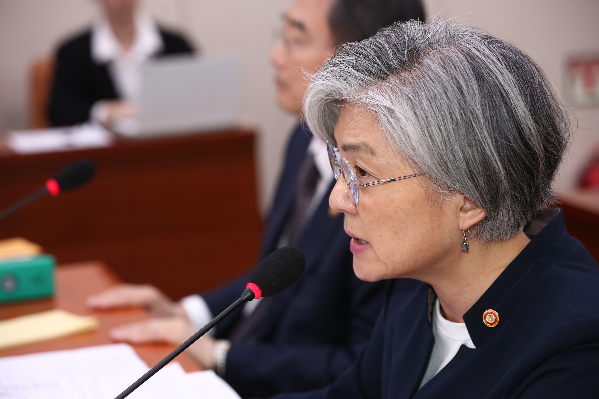 정치;국회;강경화;외교부장관;국정감사;종합감사;외교통일위원회