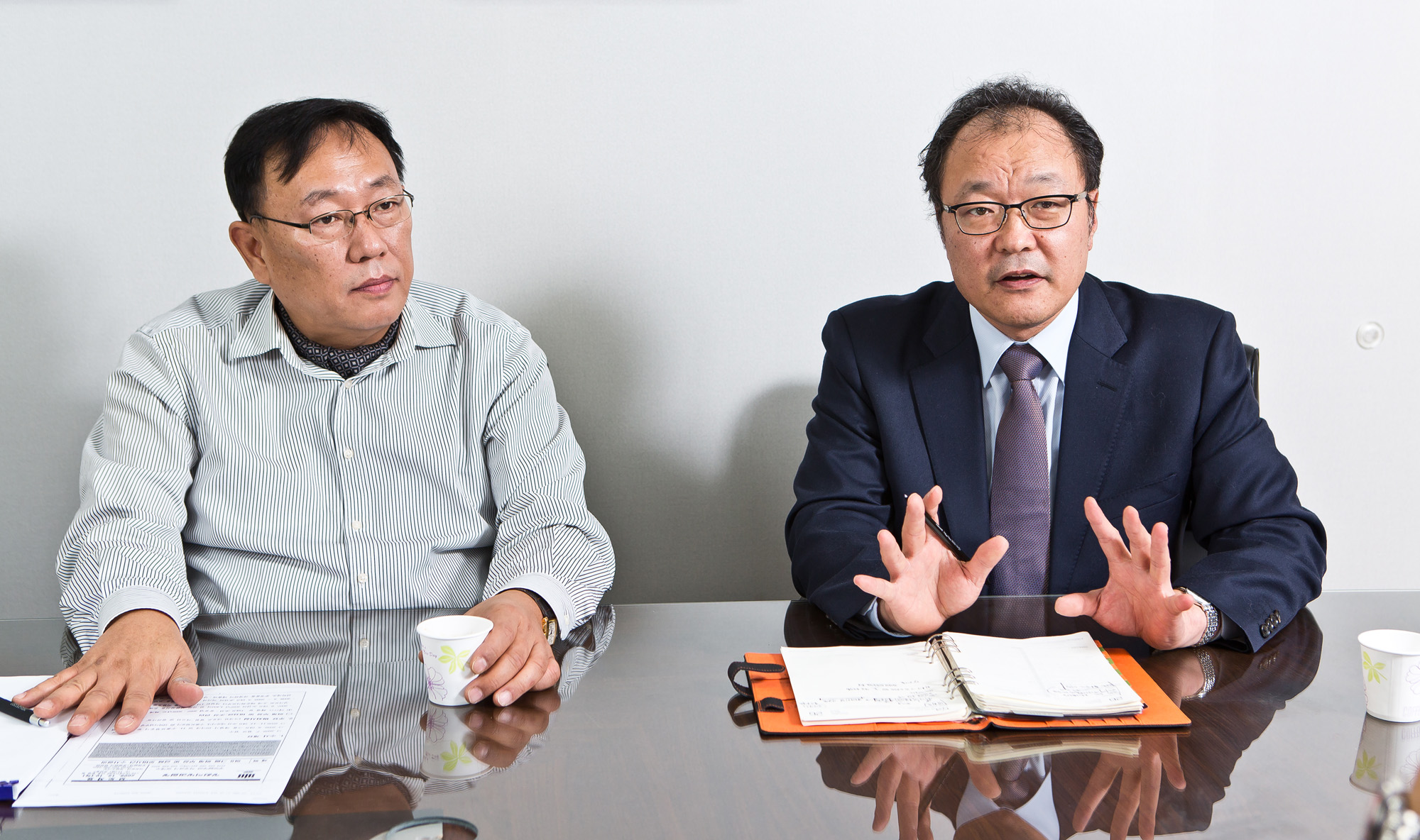 정치/경제/대기업/SLS/SLS중공업/이국철/국정원블