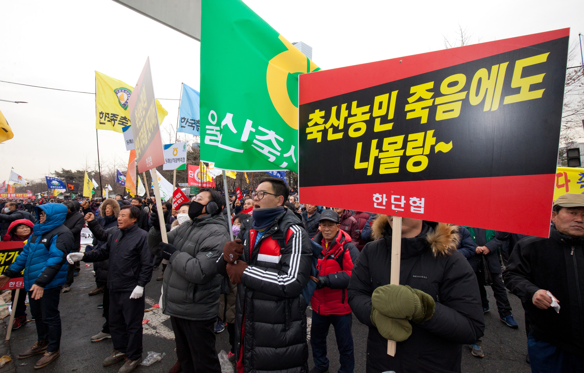 축산인;축산업단체;무허가축사;특별법제정