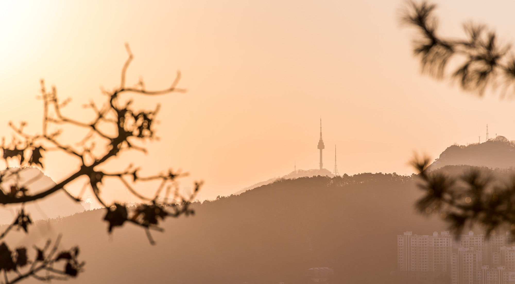 사회;세태;계절스케치;신년일출;새해;2018년새해;무술년새해;일출스케치;봉산해맞이공원