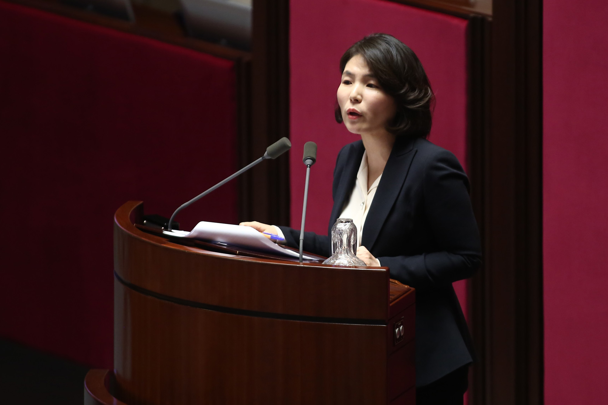 정치;국회;대정부질문;전희경