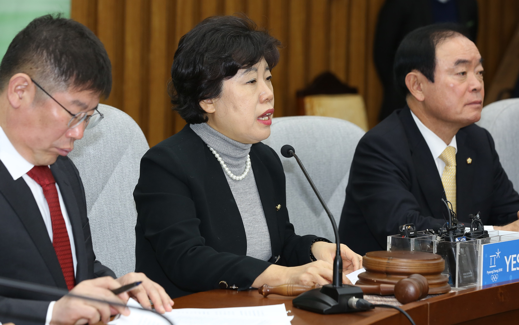 정치;국회;민주평화당;조배숙대표